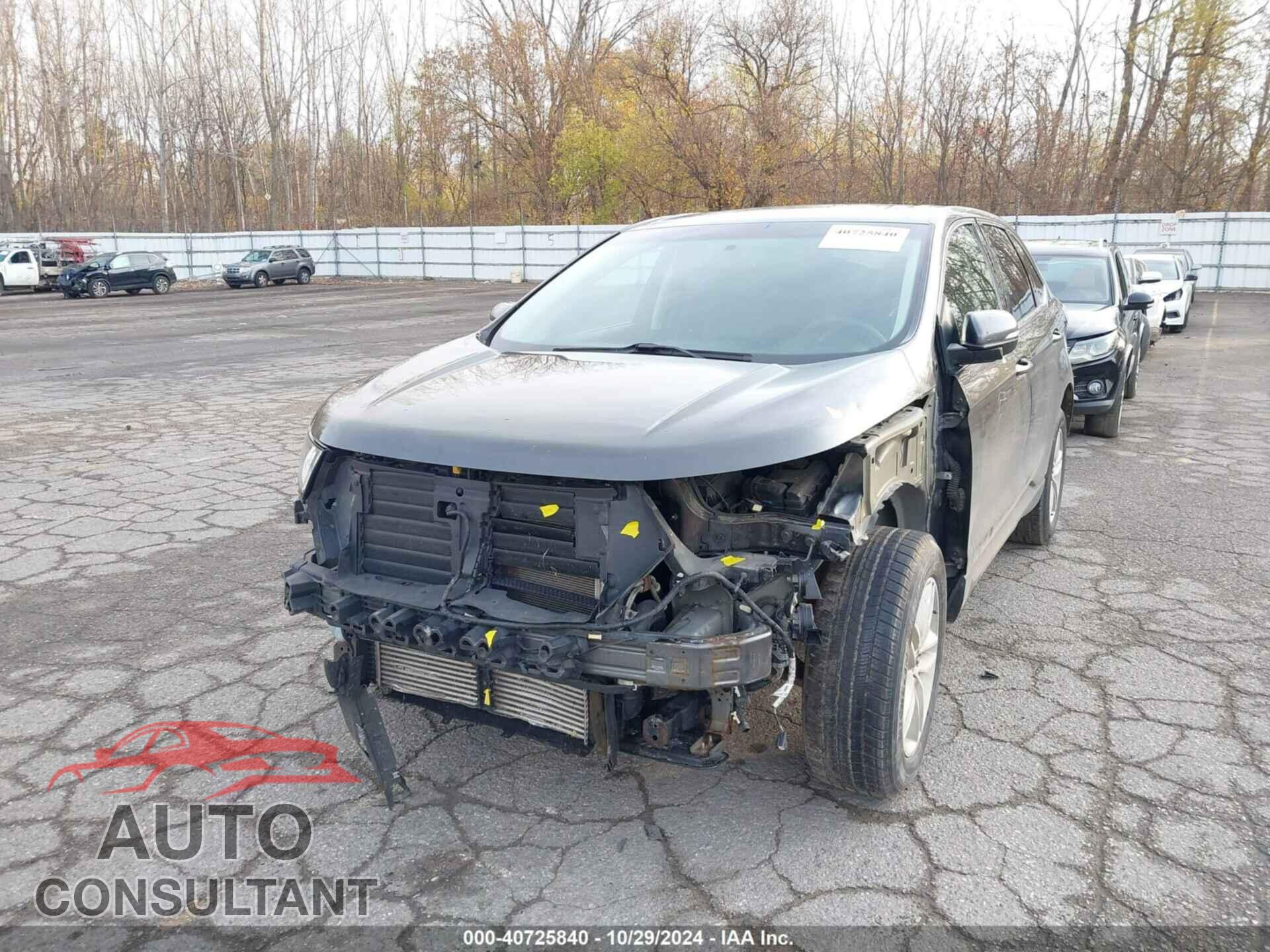 FORD EDGE 2017 - 2FMPK4J92HBB18991
