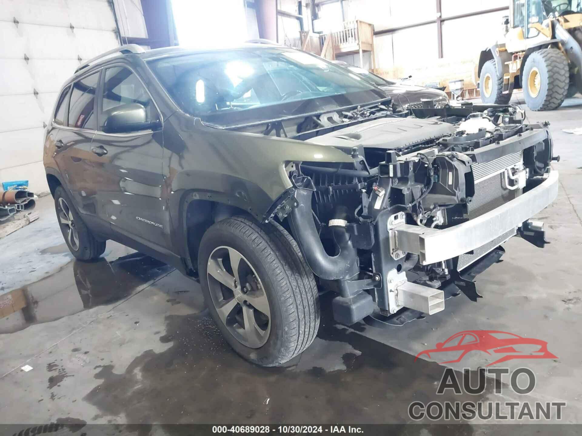 JEEP CHEROKEE 2019 - 1C4PJMDX3KD198501