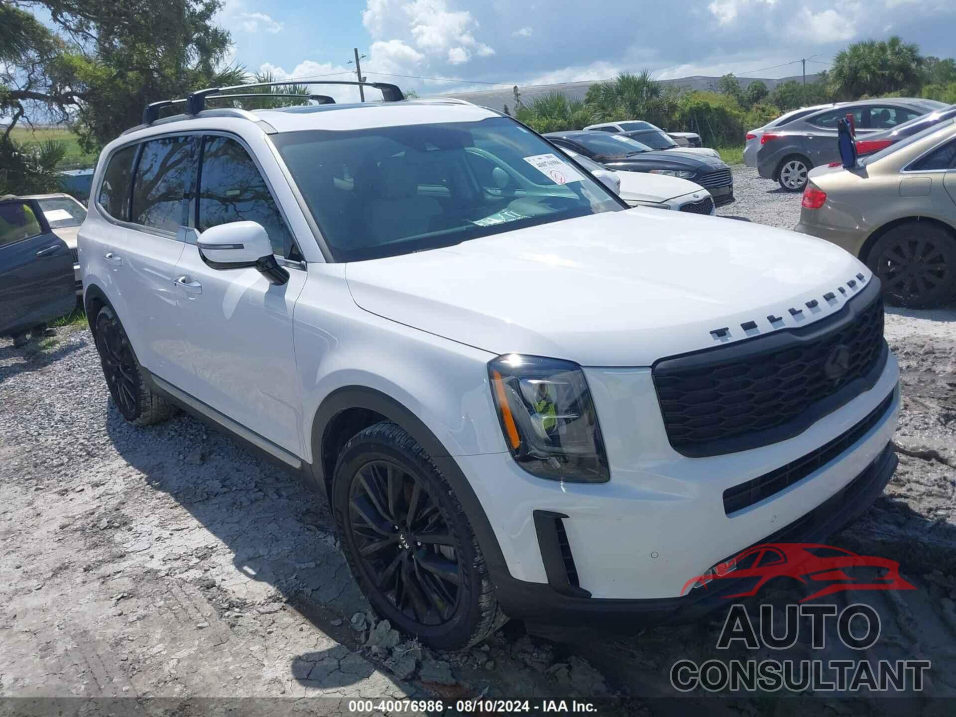 KIA TELLURIDE 2021 - 5XYP5DHCXMG135007