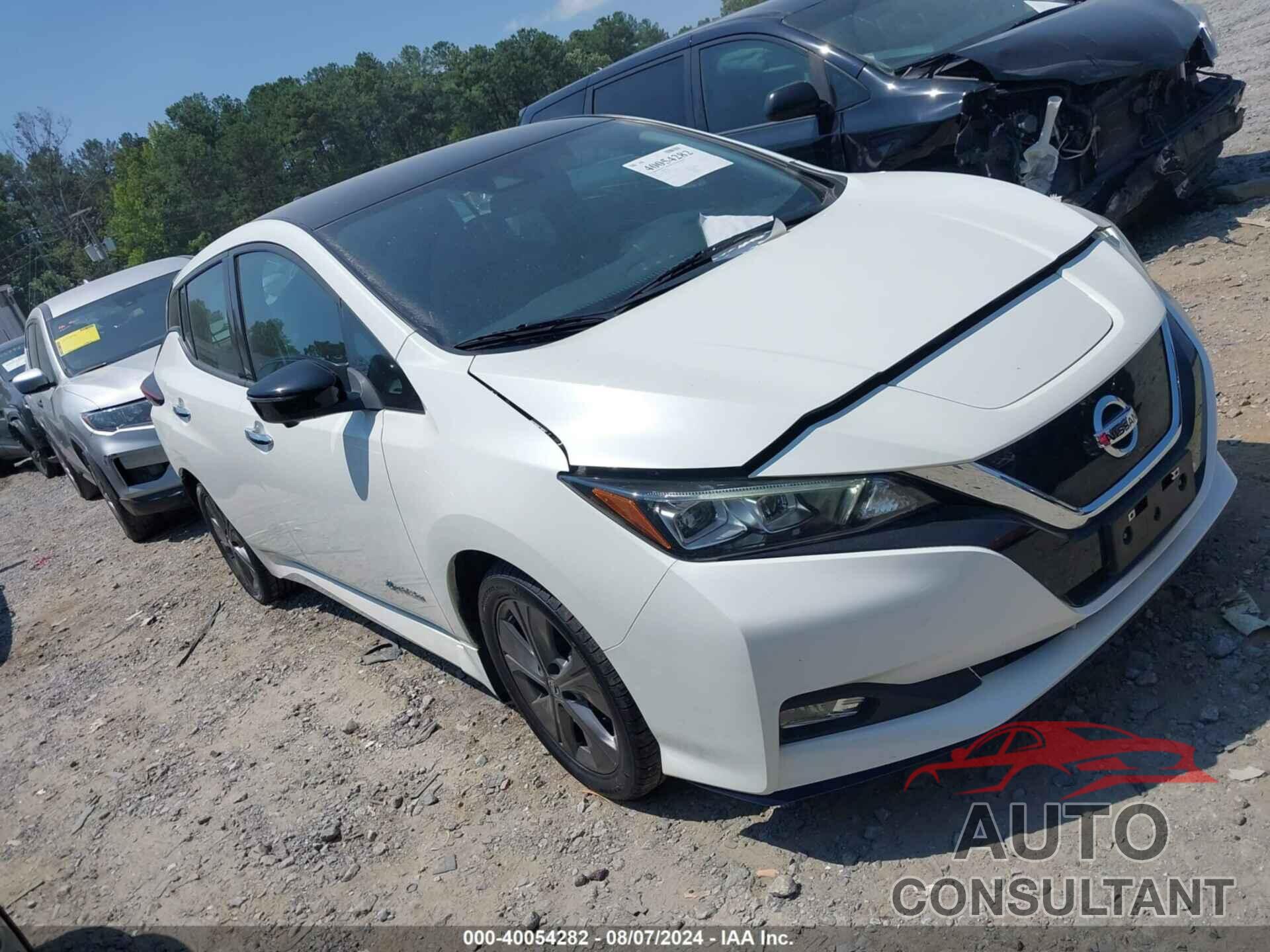 NISSAN LEAF 2019 - 1N4BZ1CP8KC308831