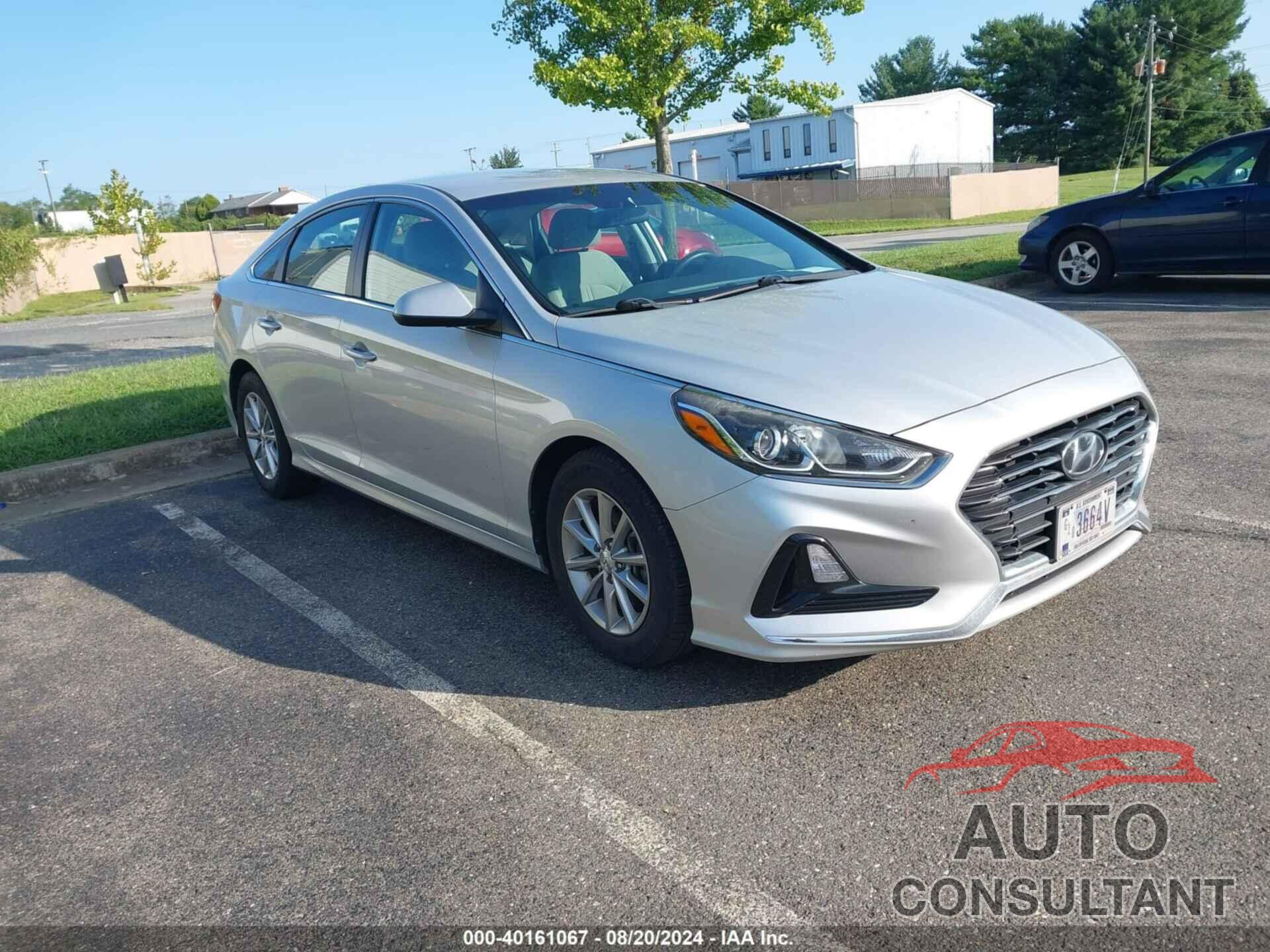 HYUNDAI SONATA 2019 - 5NPE24AA6KH774046