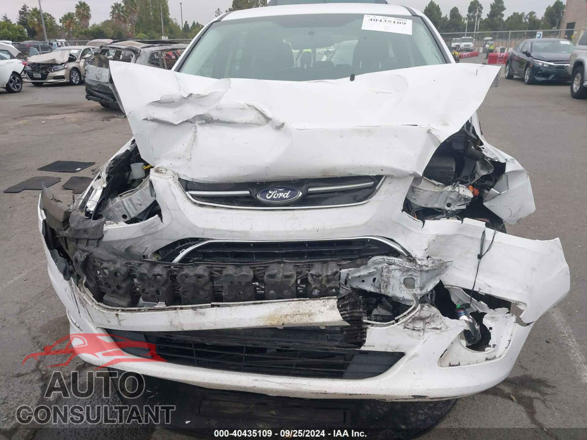 FORD C-MAX 2017 - 1FADP5EU0HL118281