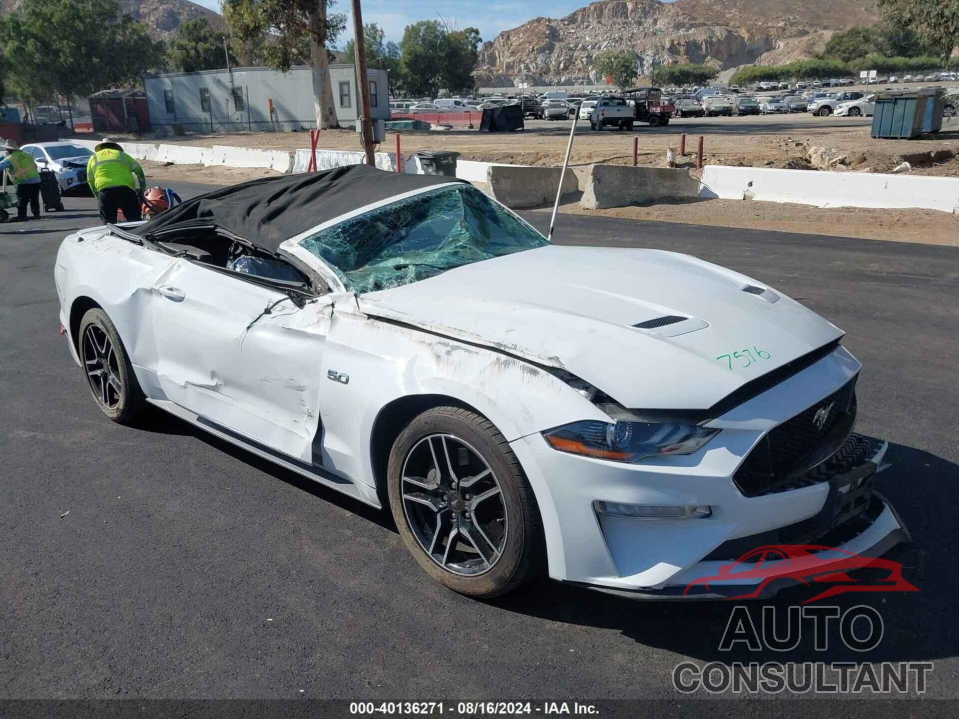 FORD MUSTANG 2019 - 1FATP8FF0K5172219