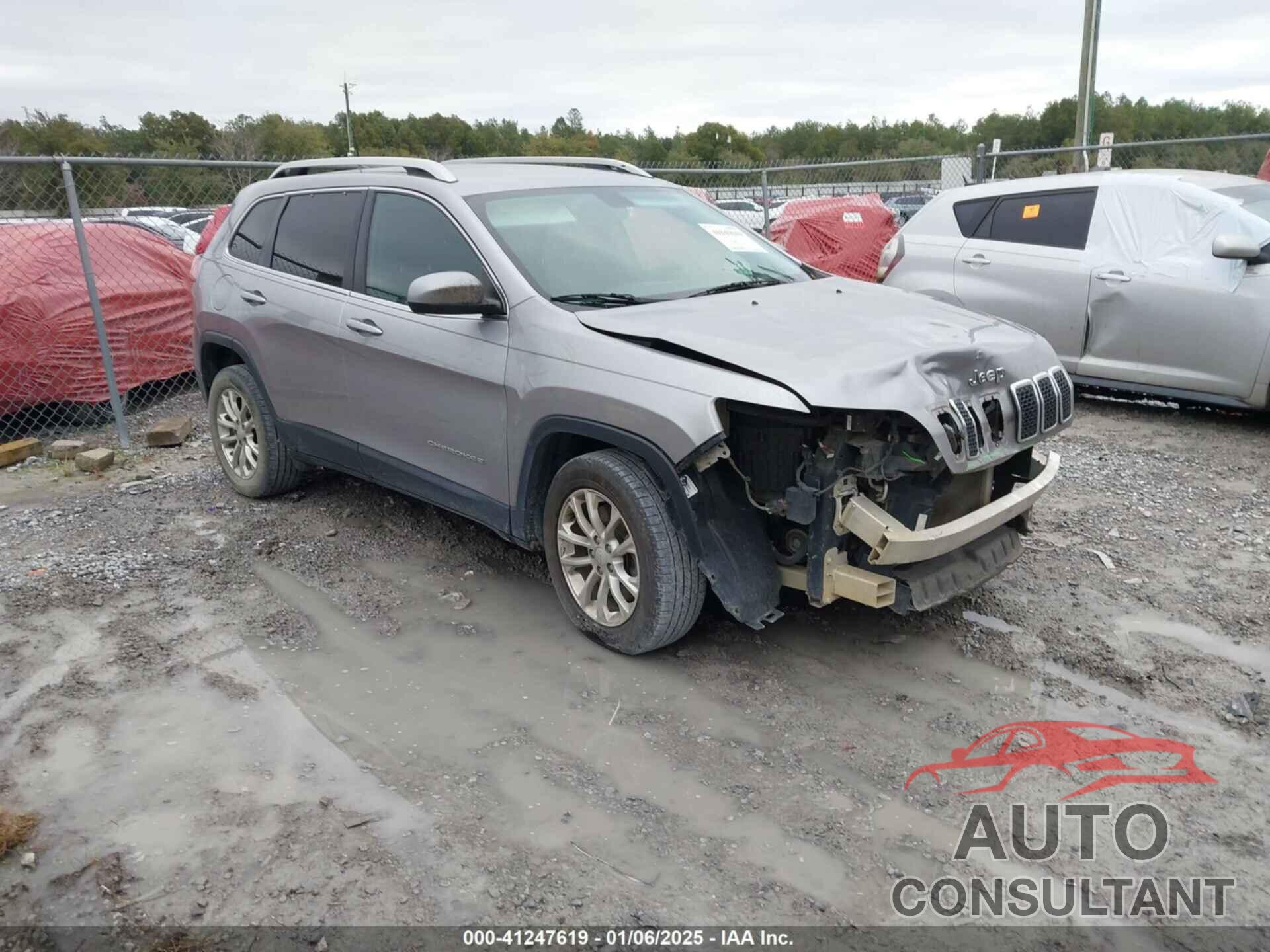 JEEP CHEROKEE 2019 - 1C4PJLCB0KD171529