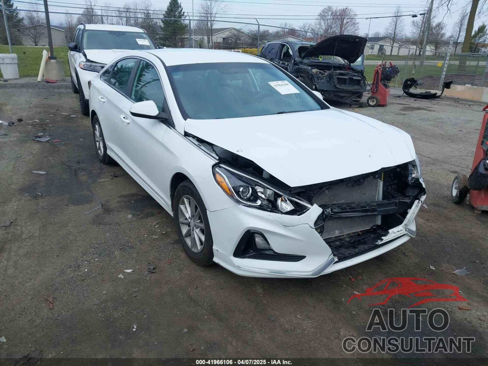 HYUNDAI SONATA 2019 - 5NPE24AF2KH729813