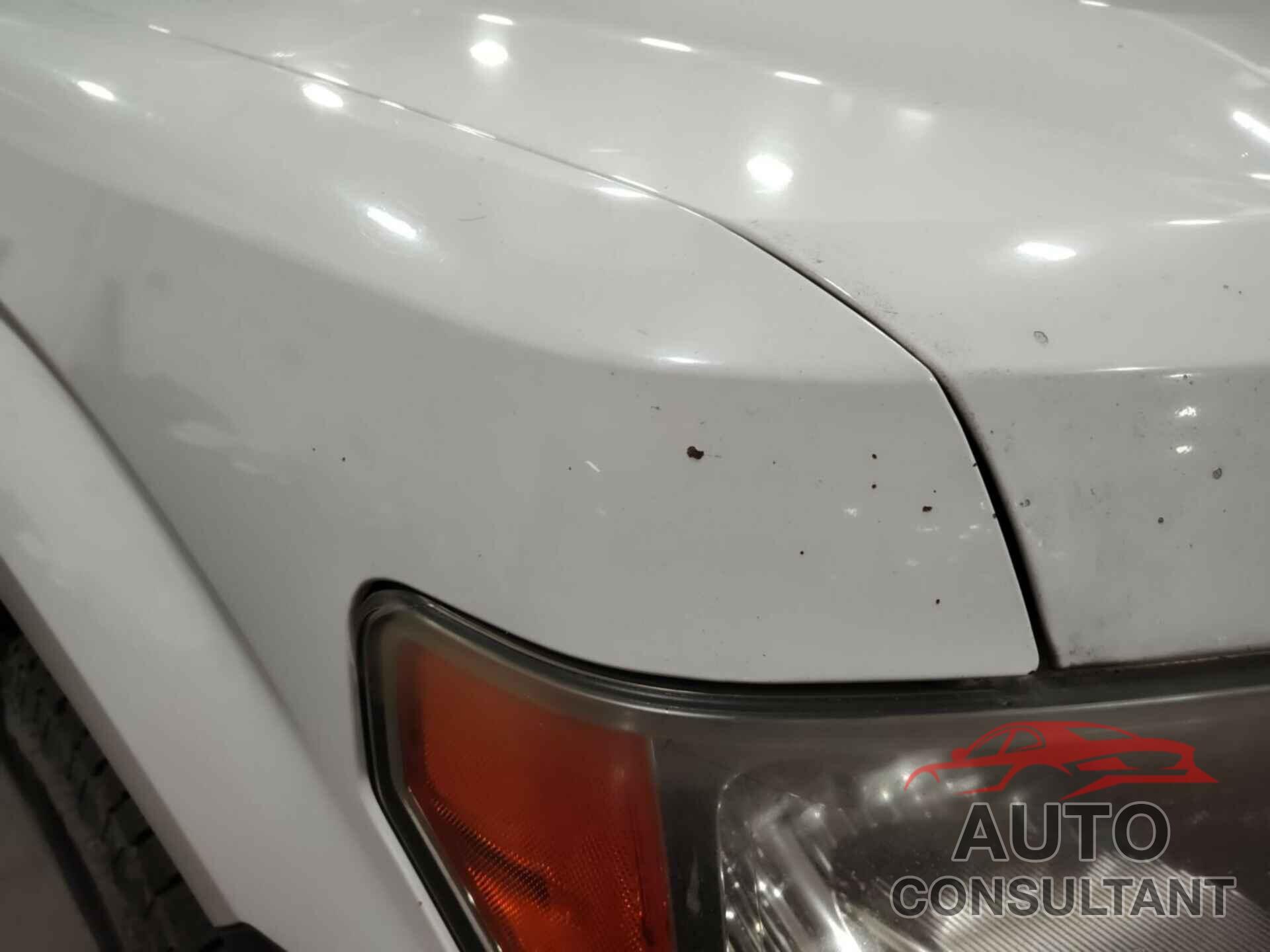 FORD F150 2010 - 1FTEX1EW8AKE18610
