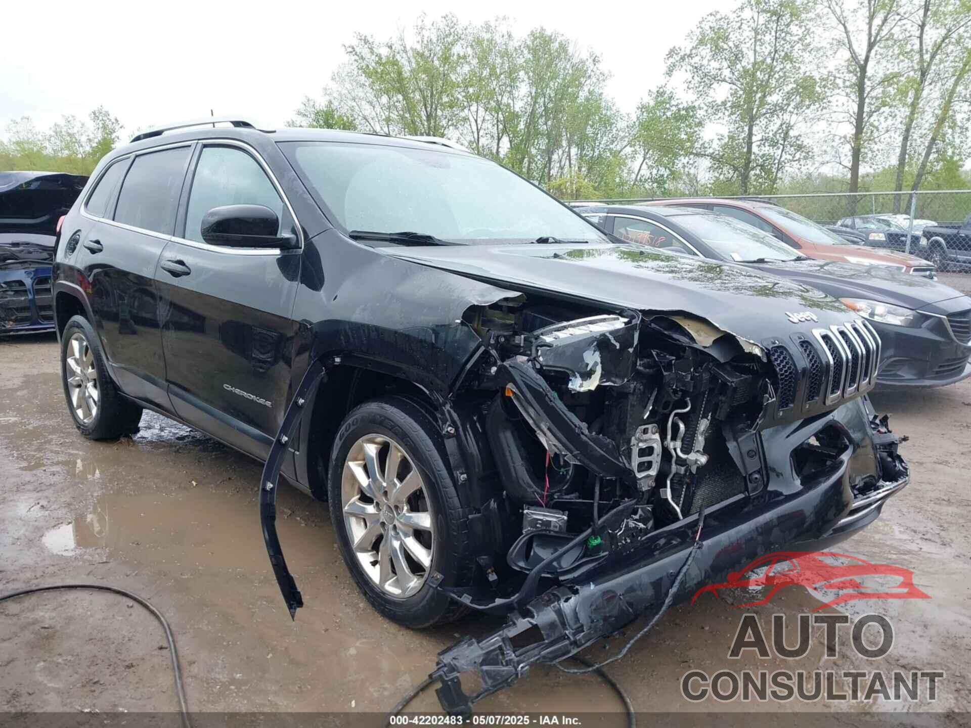 JEEP CHEROKEE 2016 - 1C4PJMDS3GW228418
