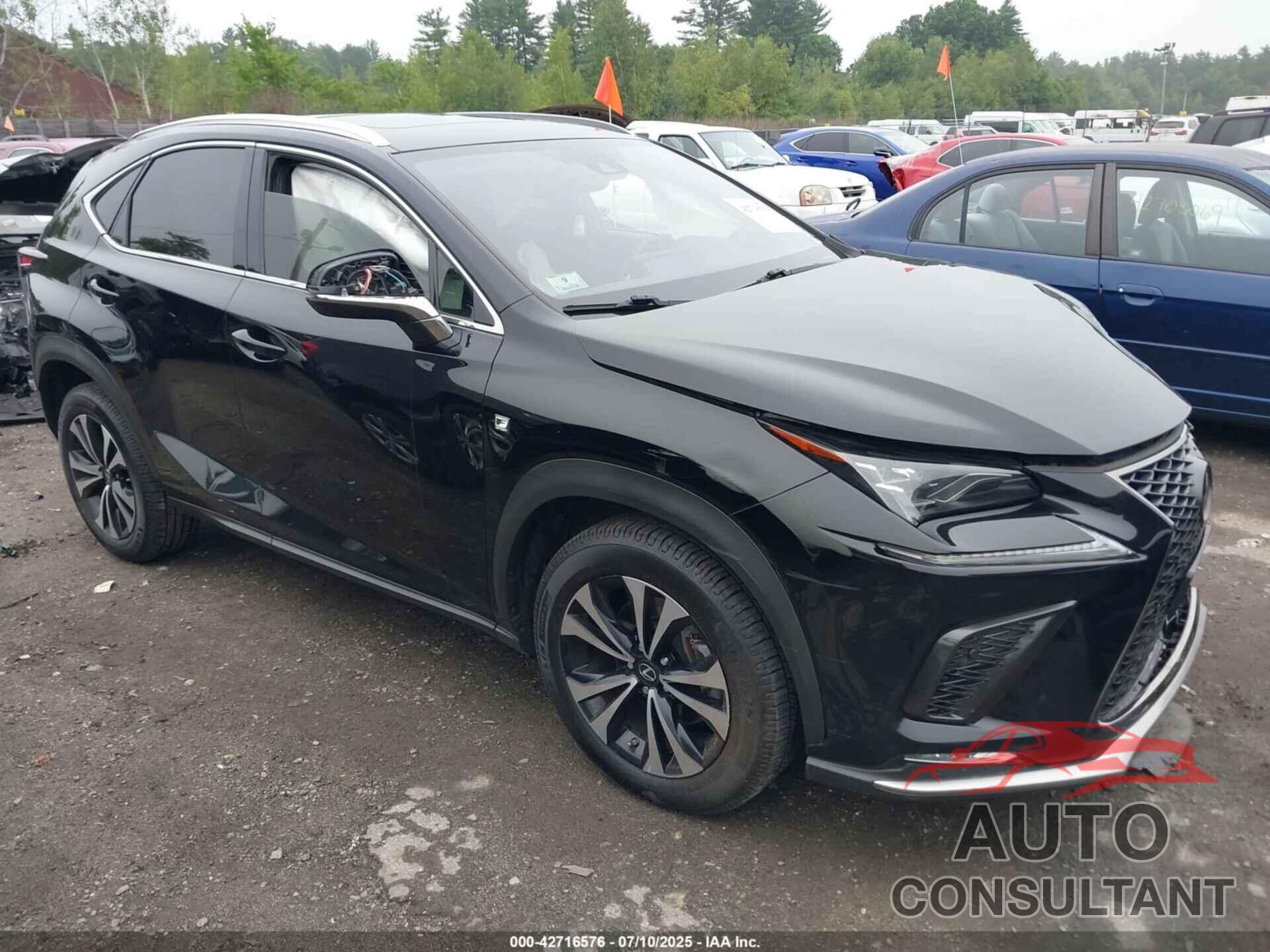 LEXUS NX 300 2020 - JTJSARDZ9L5008931