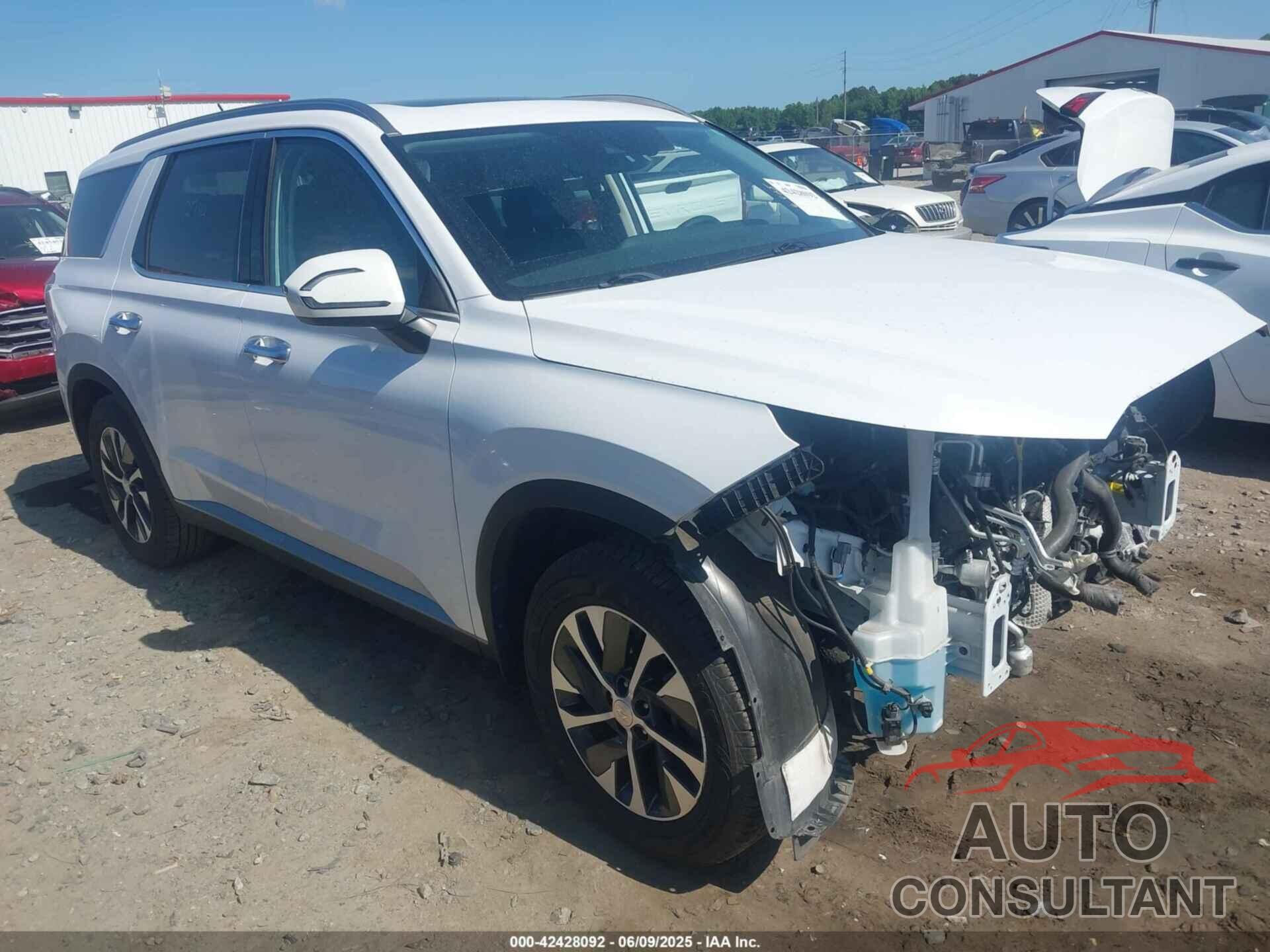 HYUNDAI PALISADE 2020 - KM8R24HE9LU051546