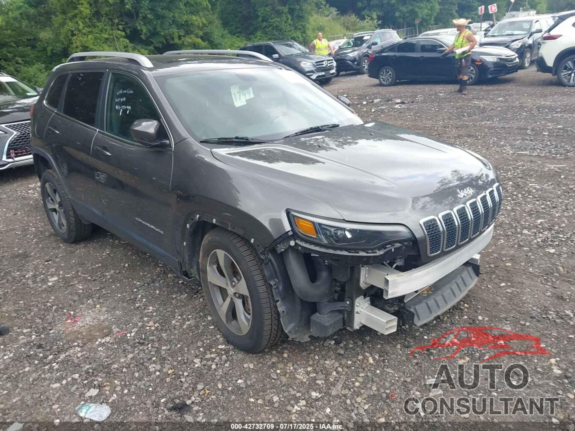 JEEP CHEROKEE 2019 - 1C4PJMDX5KD138560
