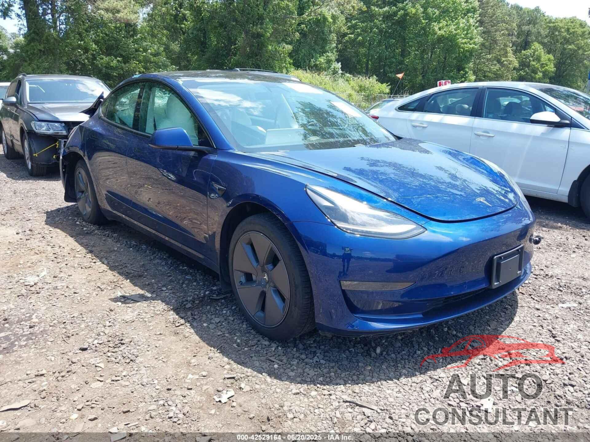 TESLA MODEL 3 2021 - 5YJ3E1EB2MF925319