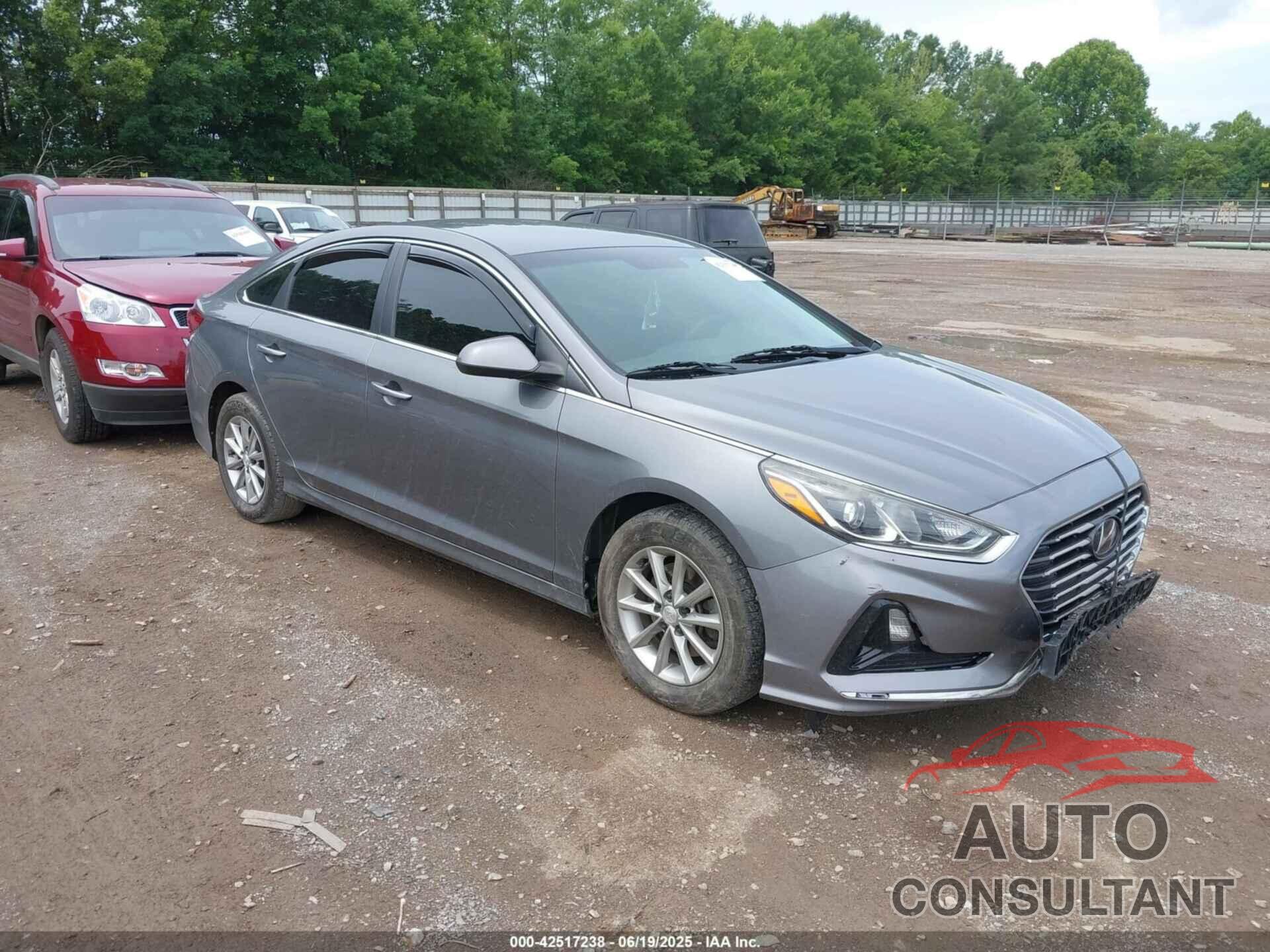 HYUNDAI SONATA 2019 - 5NPE24AF9KH747080