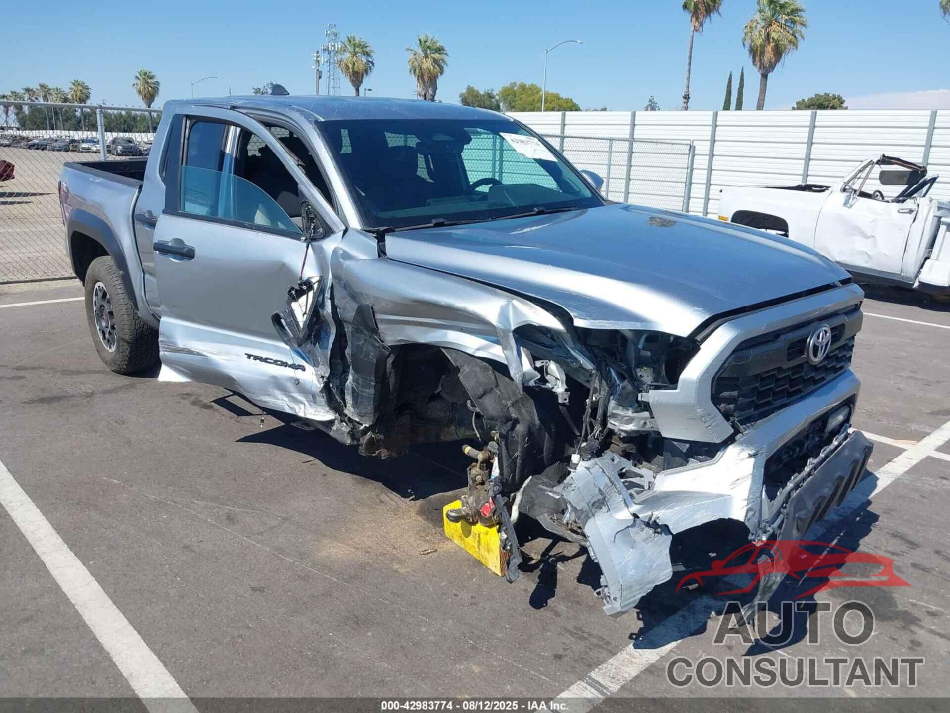 TOYOTA TACOMA 2024 - 3TMLB5JNXRM025450