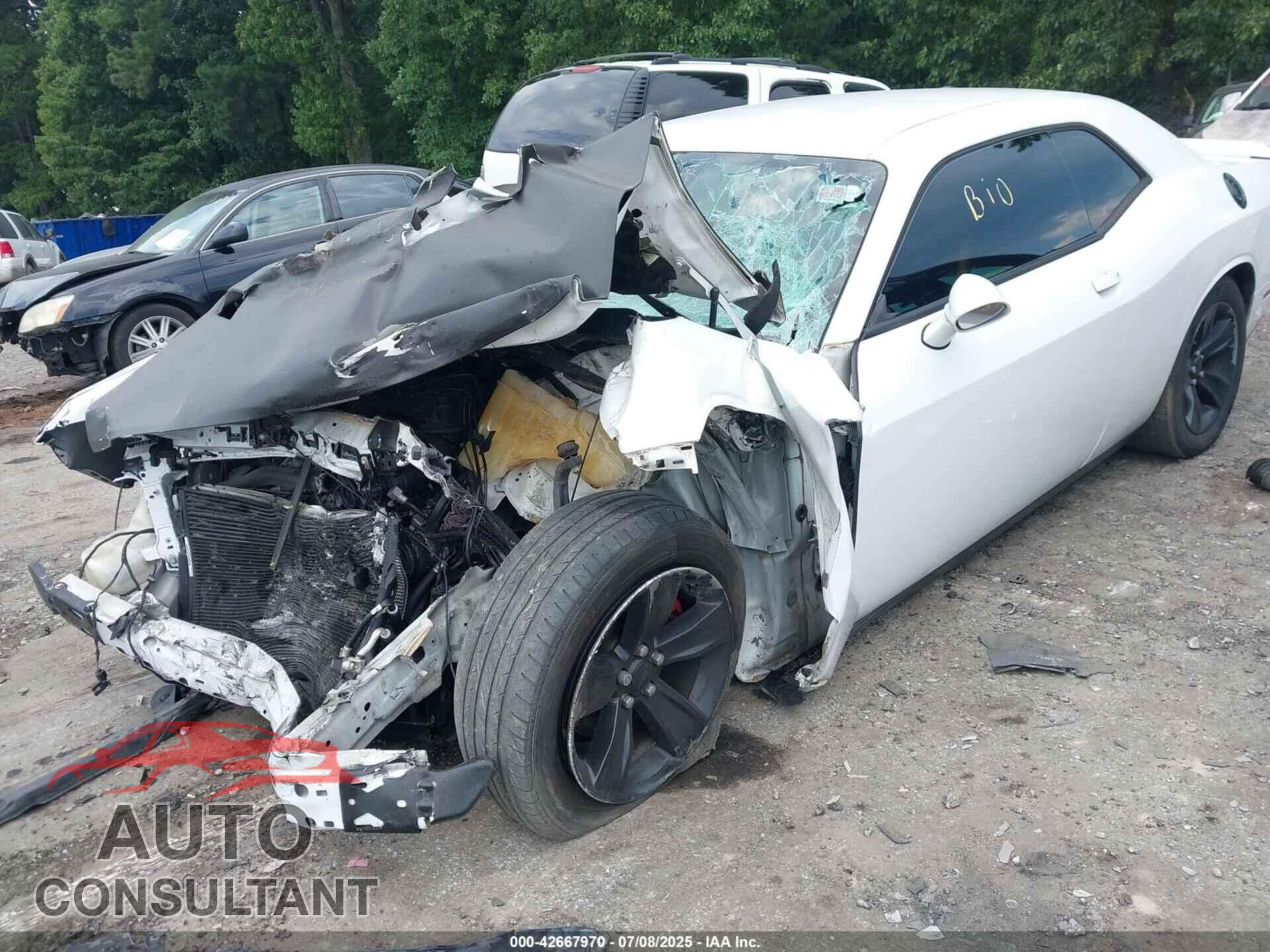DODGE CHALLENGER 2019 - 2C3CDZAG7KH672562