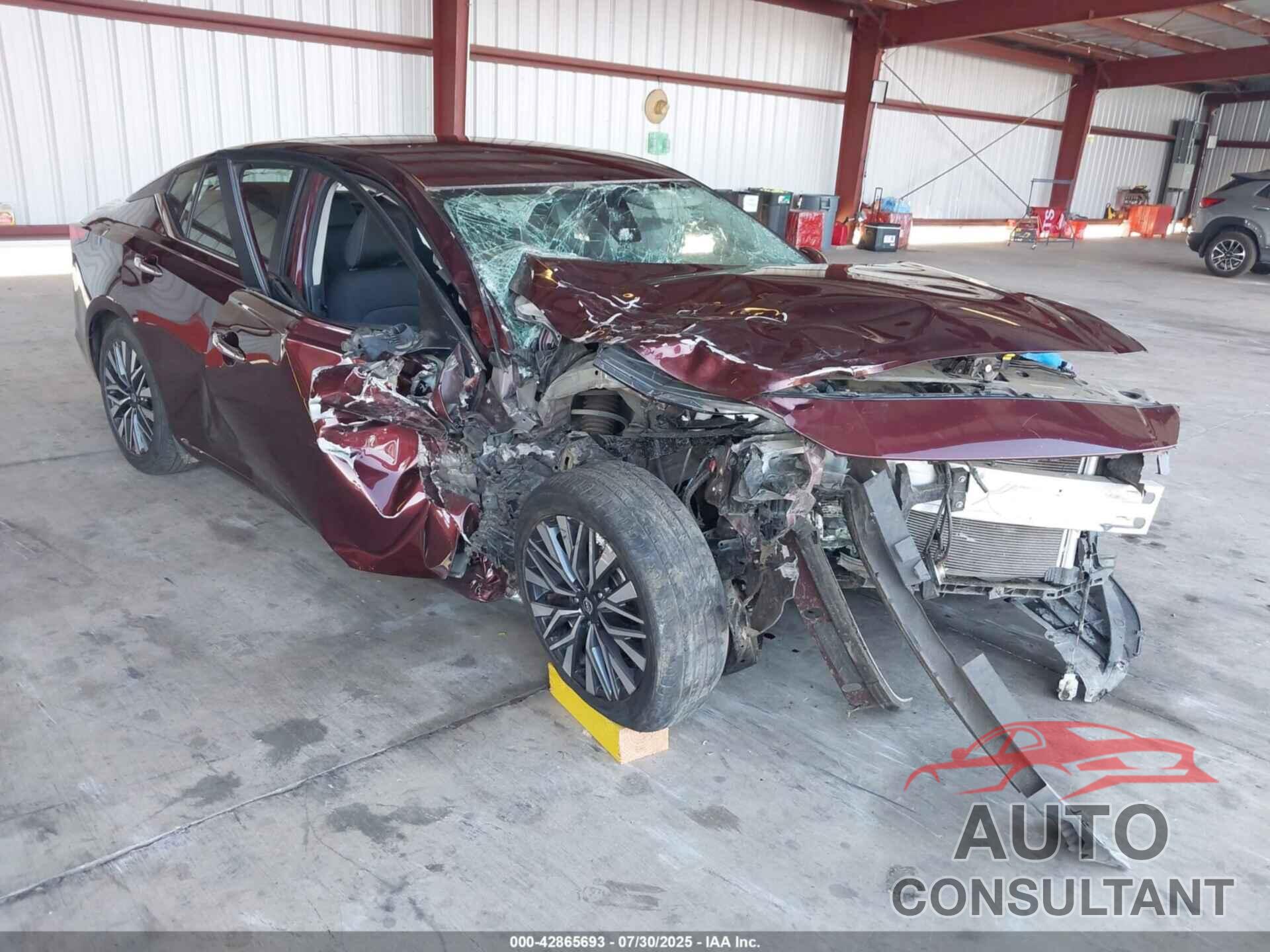 NISSAN ALTIMA 2023 - 1N4BL4DV9PN343843