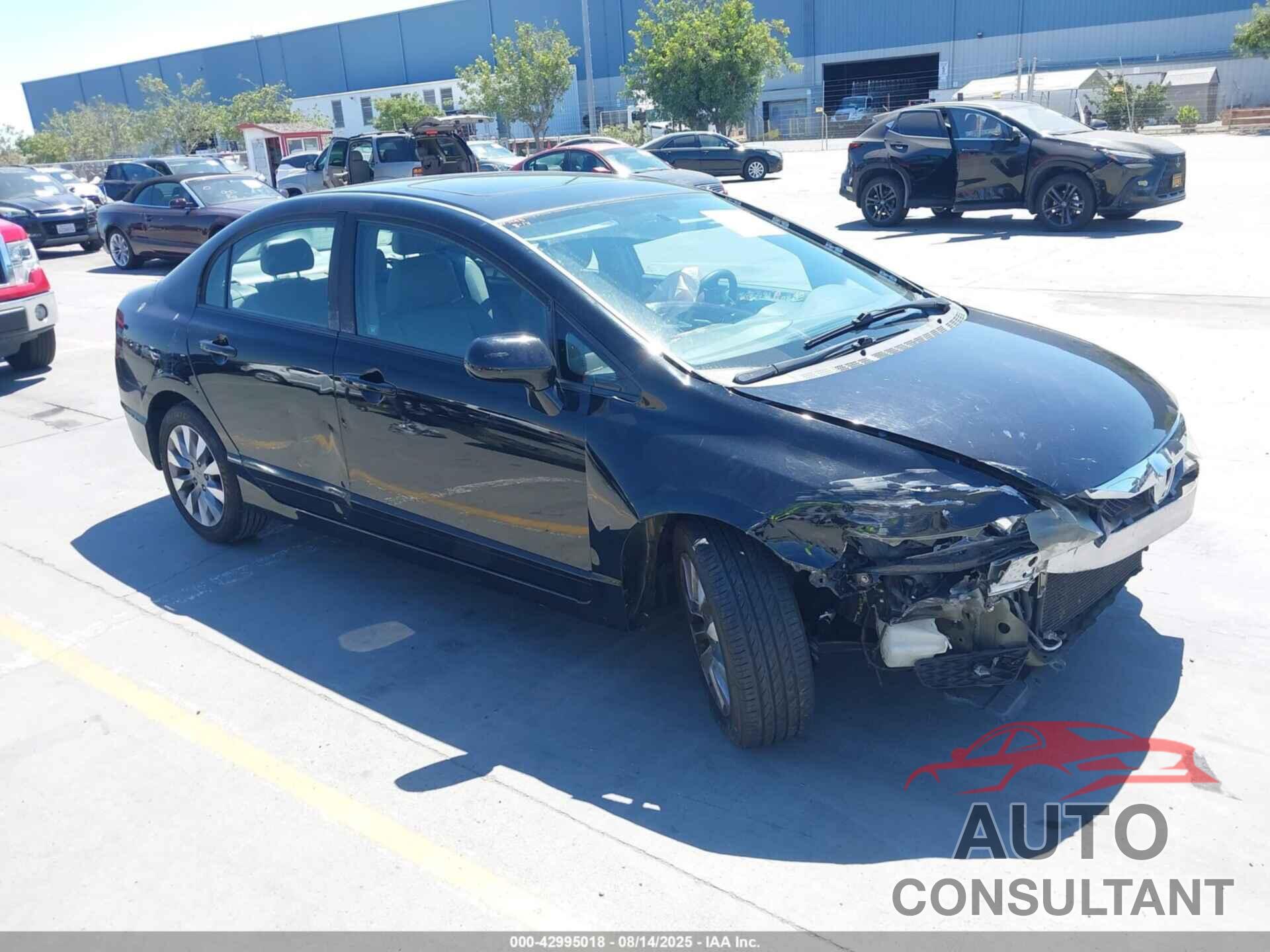 HONDA CIVIC 2010 - 19XFA1F96AE064412