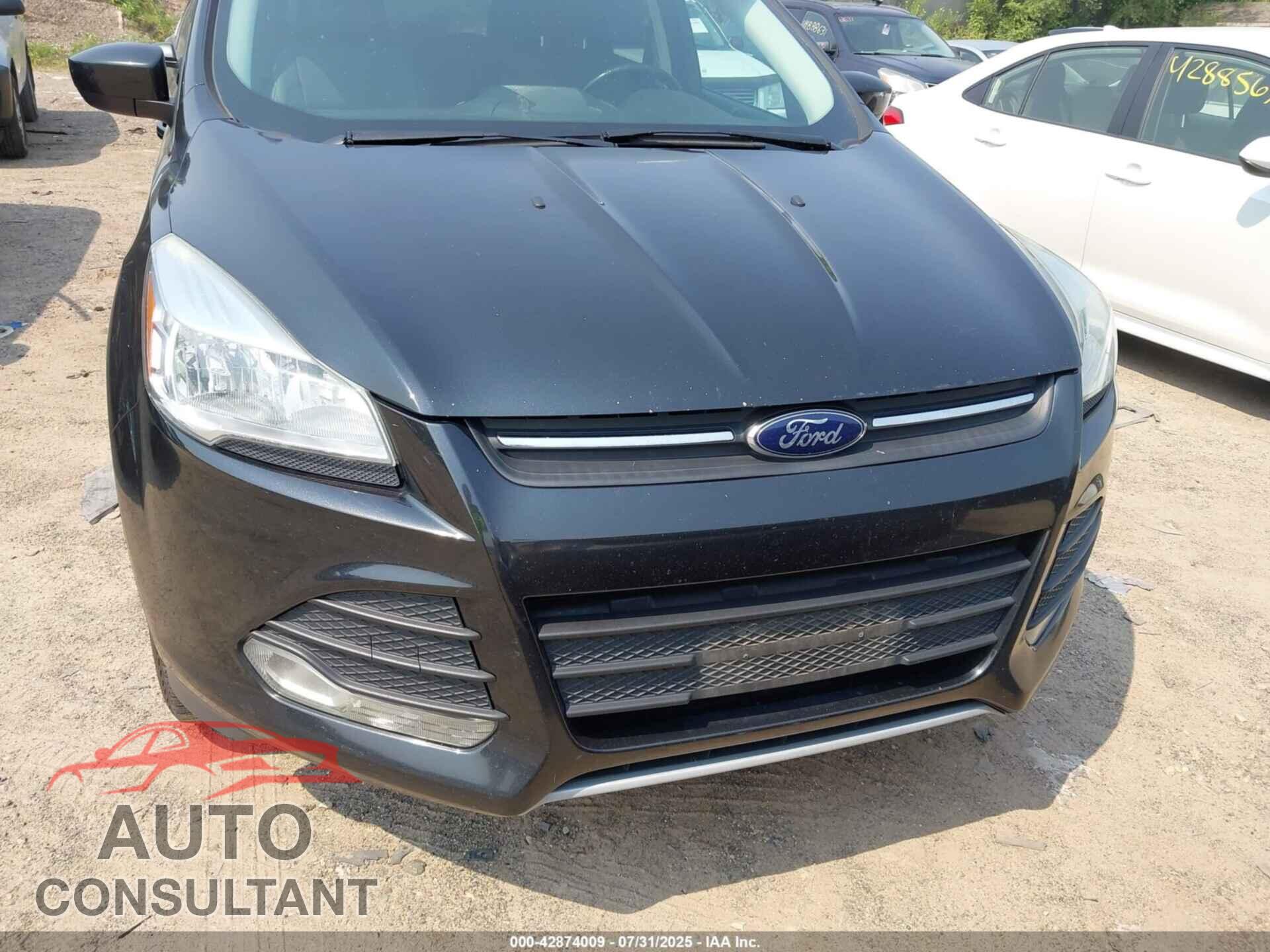 FORD ESCAPE 2014 - 1FMCU9GX9EUD66513