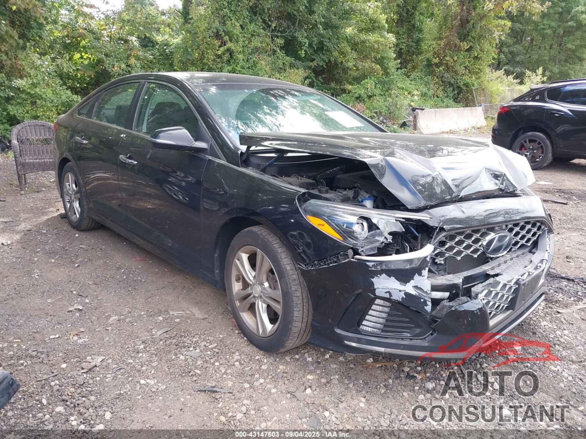 HYUNDAI SONATA 2018 - 5NPE34AF8JH710839