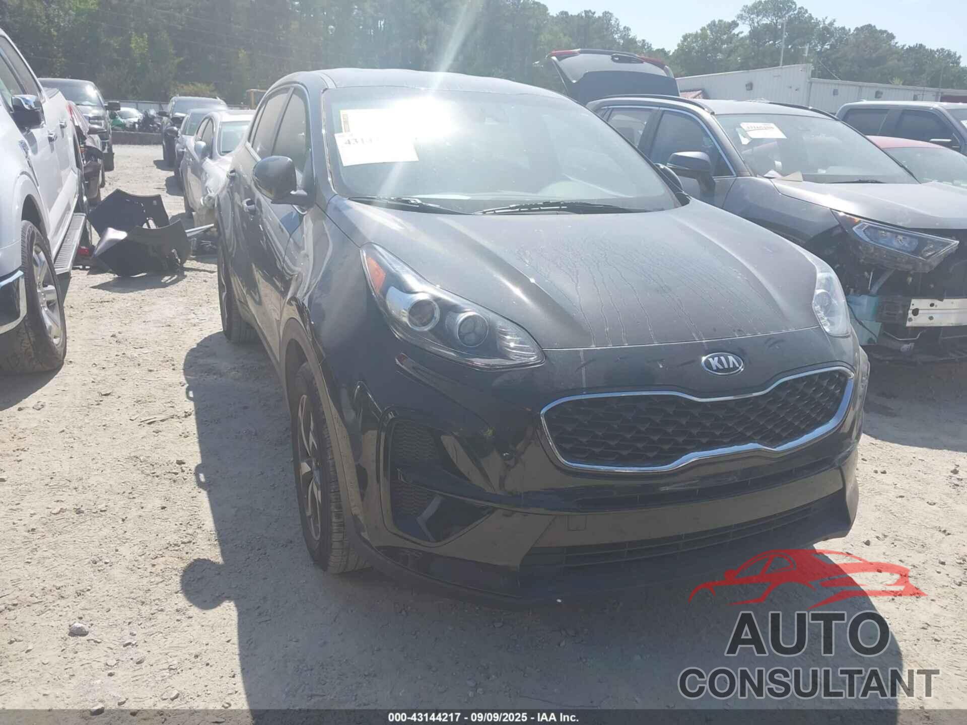 KIA SPORTAGE 2021 - KNDPM3AC6M7942340