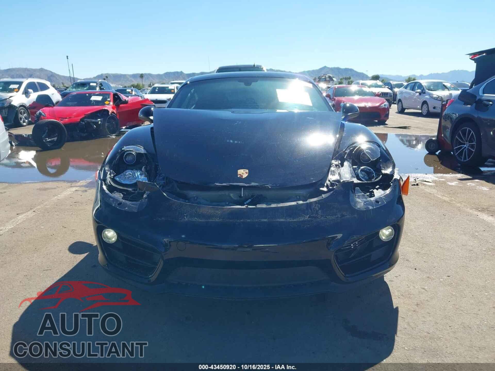 PORSCHE CAYMAN 2014 - WP0AA2A87EK171793