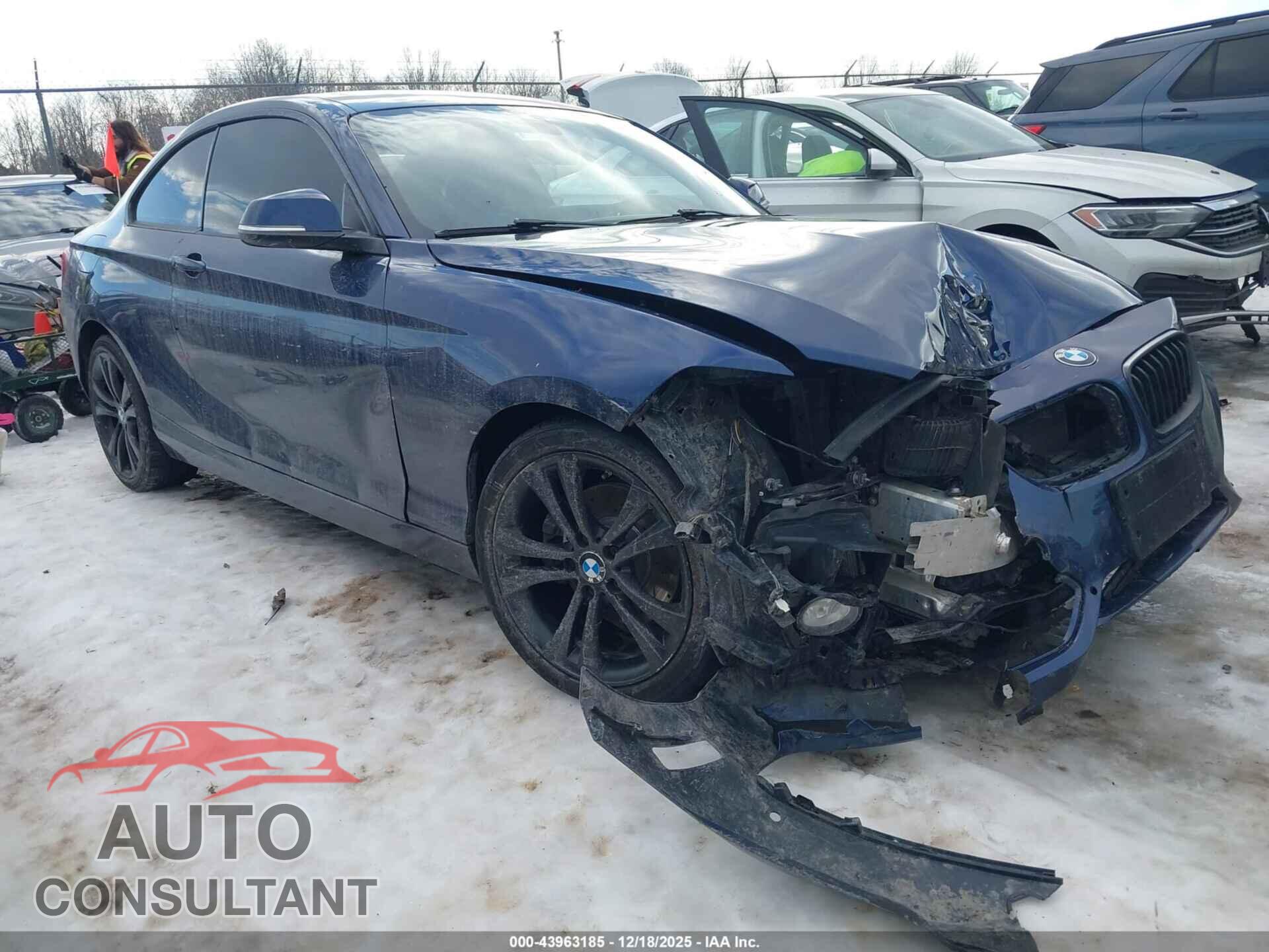 BMW 228I 2016 - WBA1G9C57GVX97157
