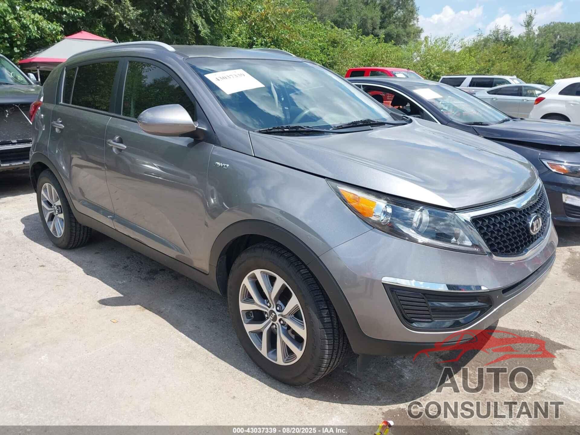 KIA SPORTAGE 2016 - KNDPBCAC4G7841307