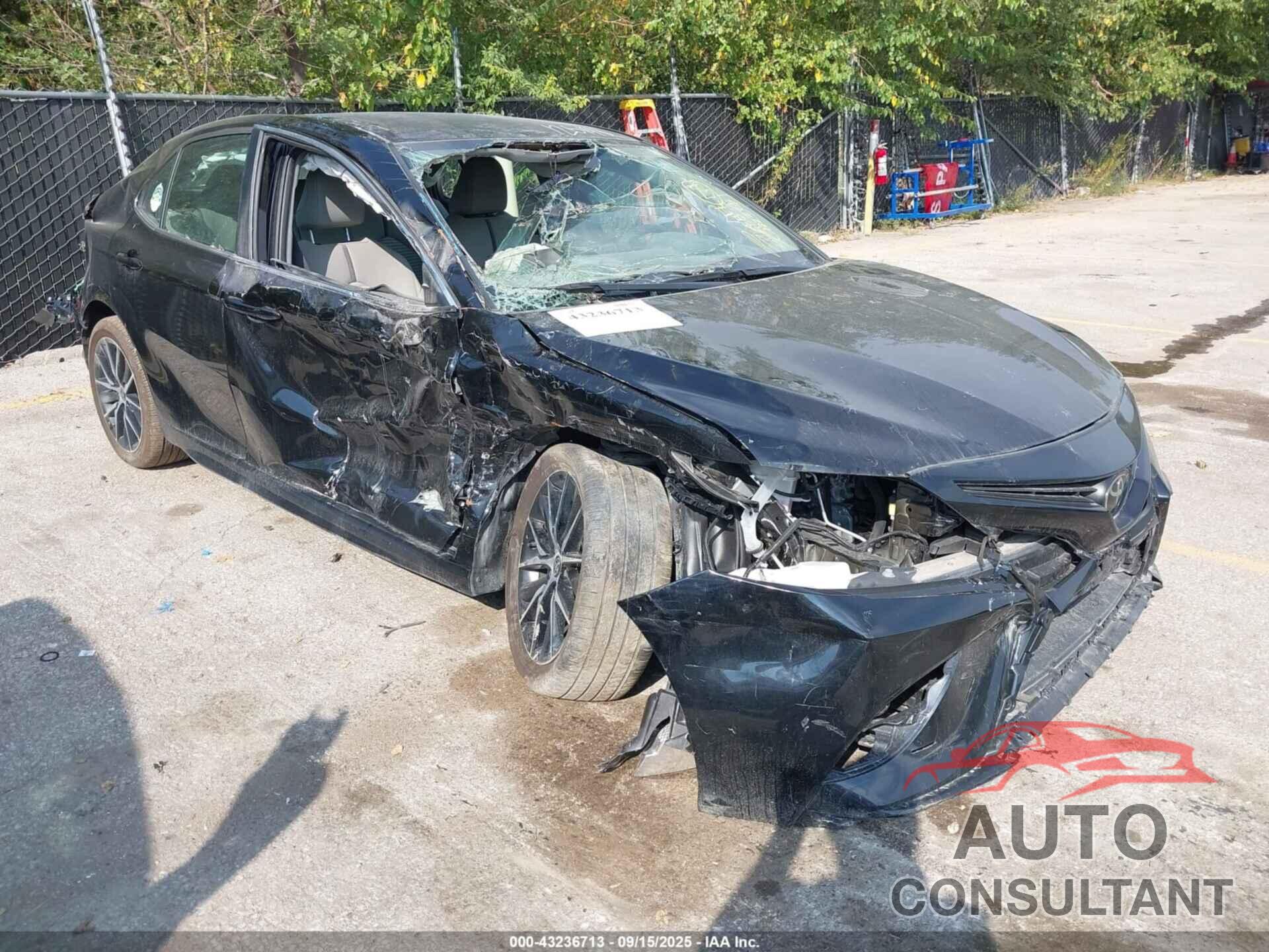 TOYOTA CAMRY 2024 - 4T1G11BK0RU126196