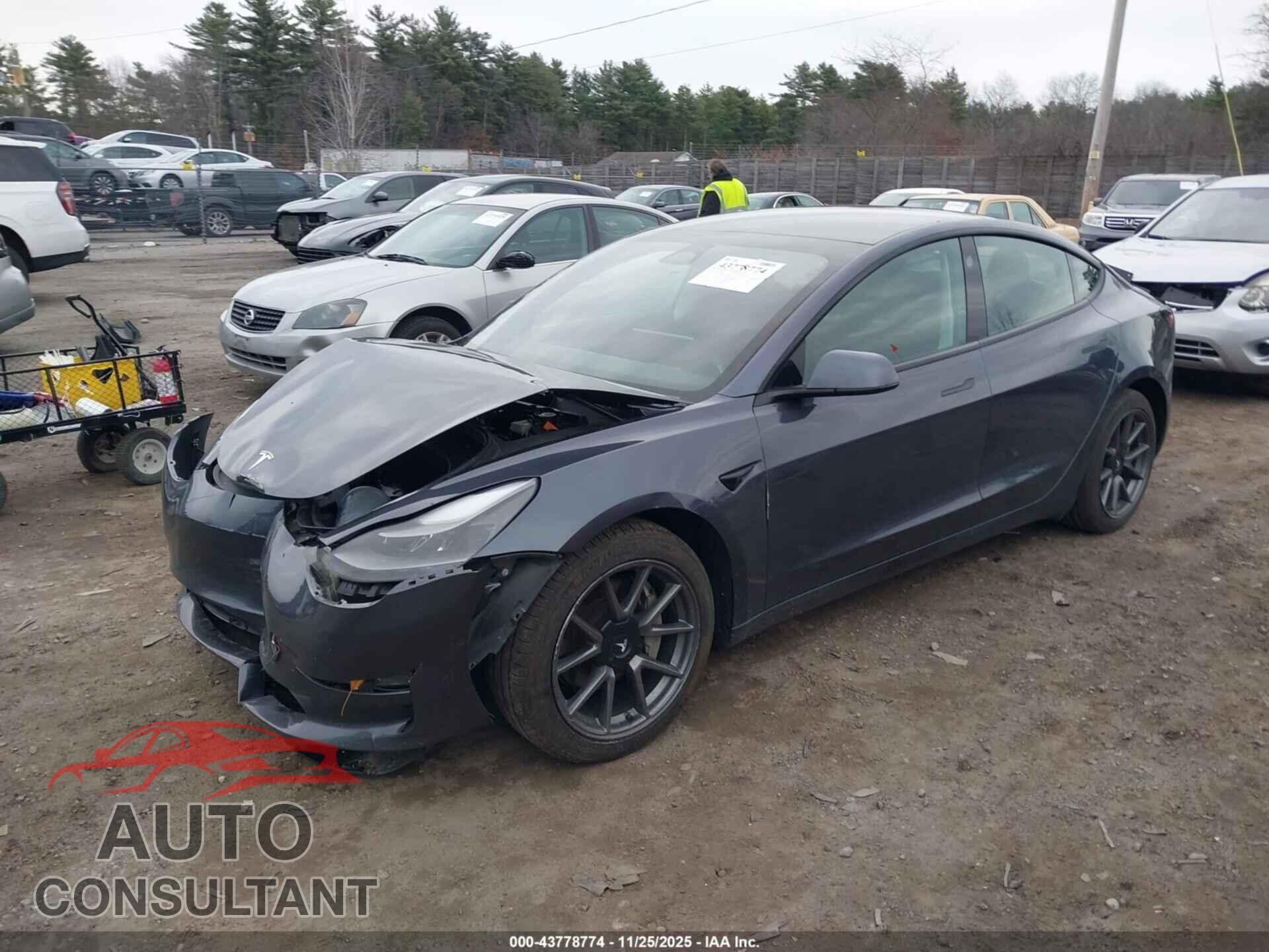 TESLA MODEL 3 2022 - 5YJ3E1EB3NF179691