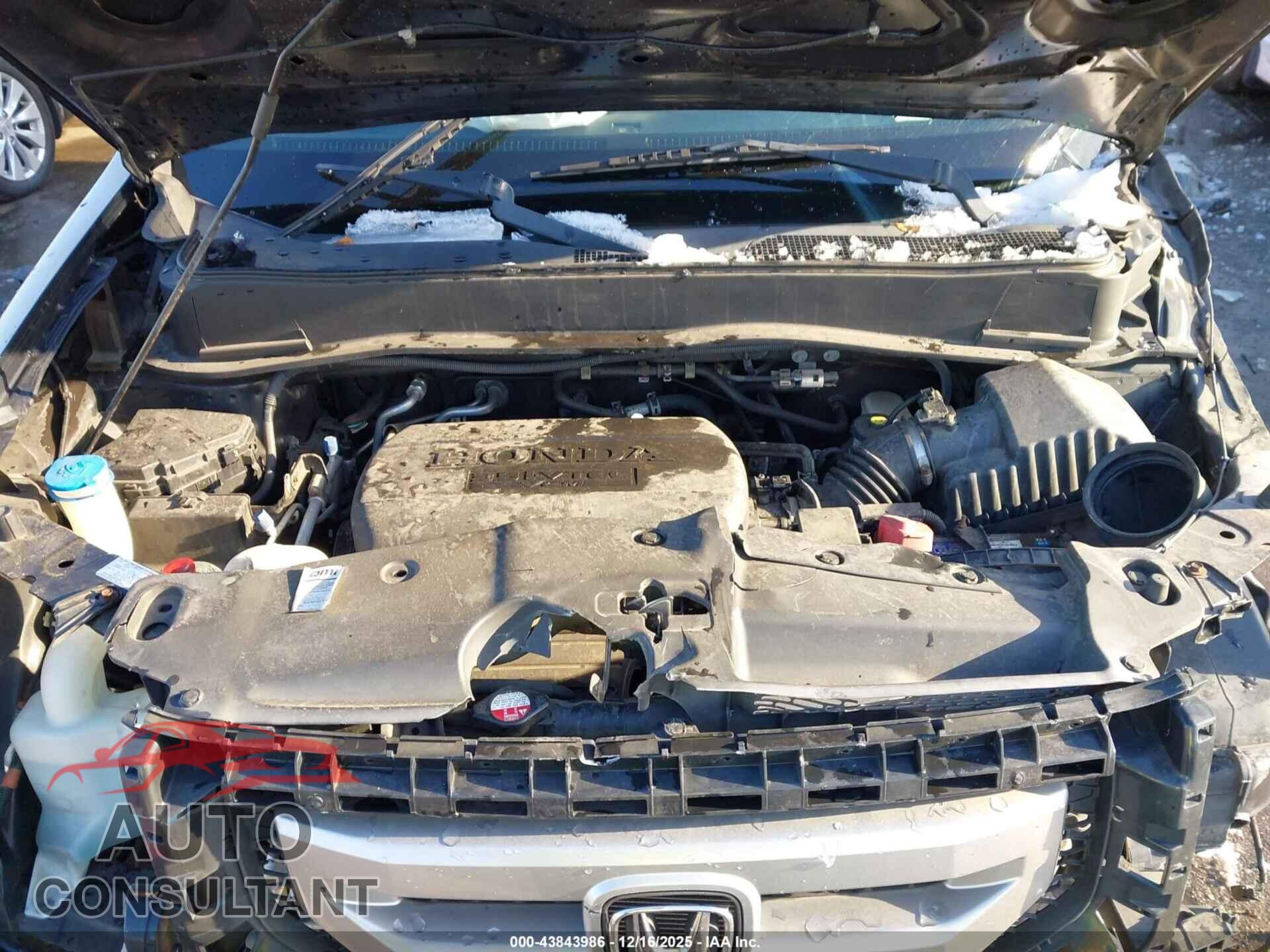 HONDA PILOT 2011 - 5FNYF4H56BB106157