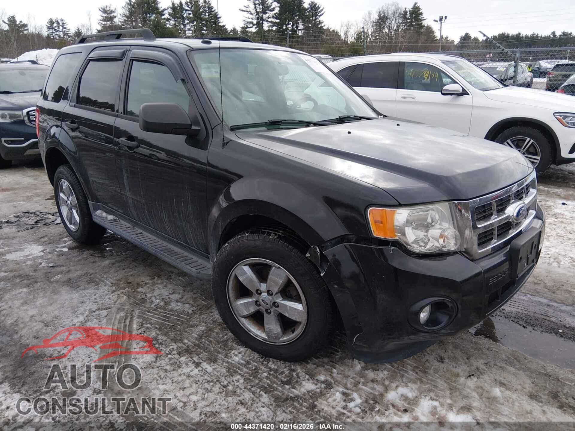 FORD ESCAPE 2011 - 1FMCU9DG6BKC15656