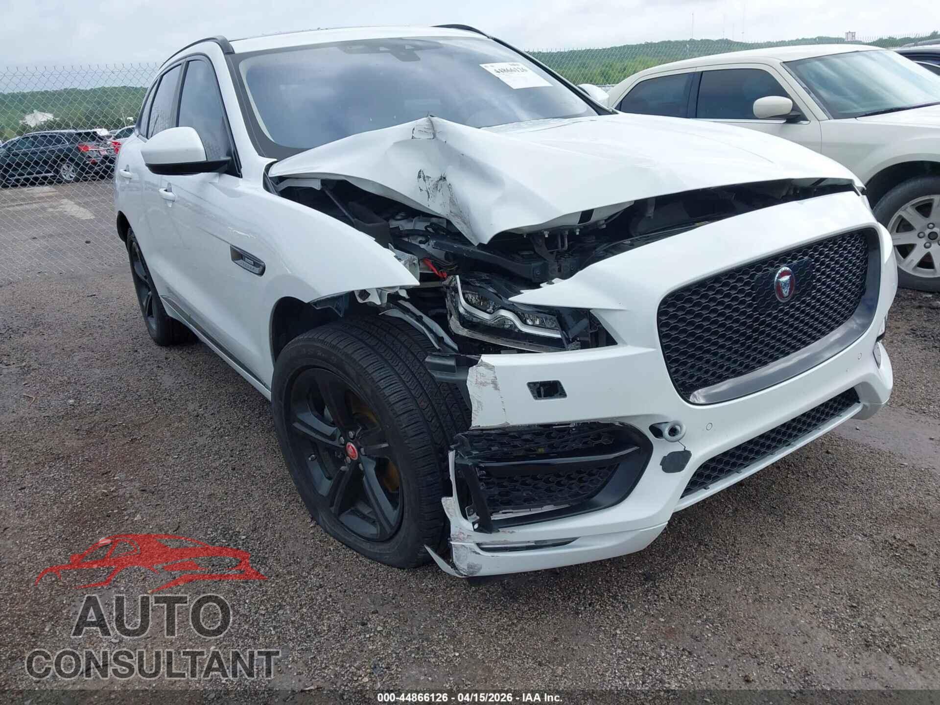 JAGUAR F-PACE 2019 - SADCL2FX0KA392306