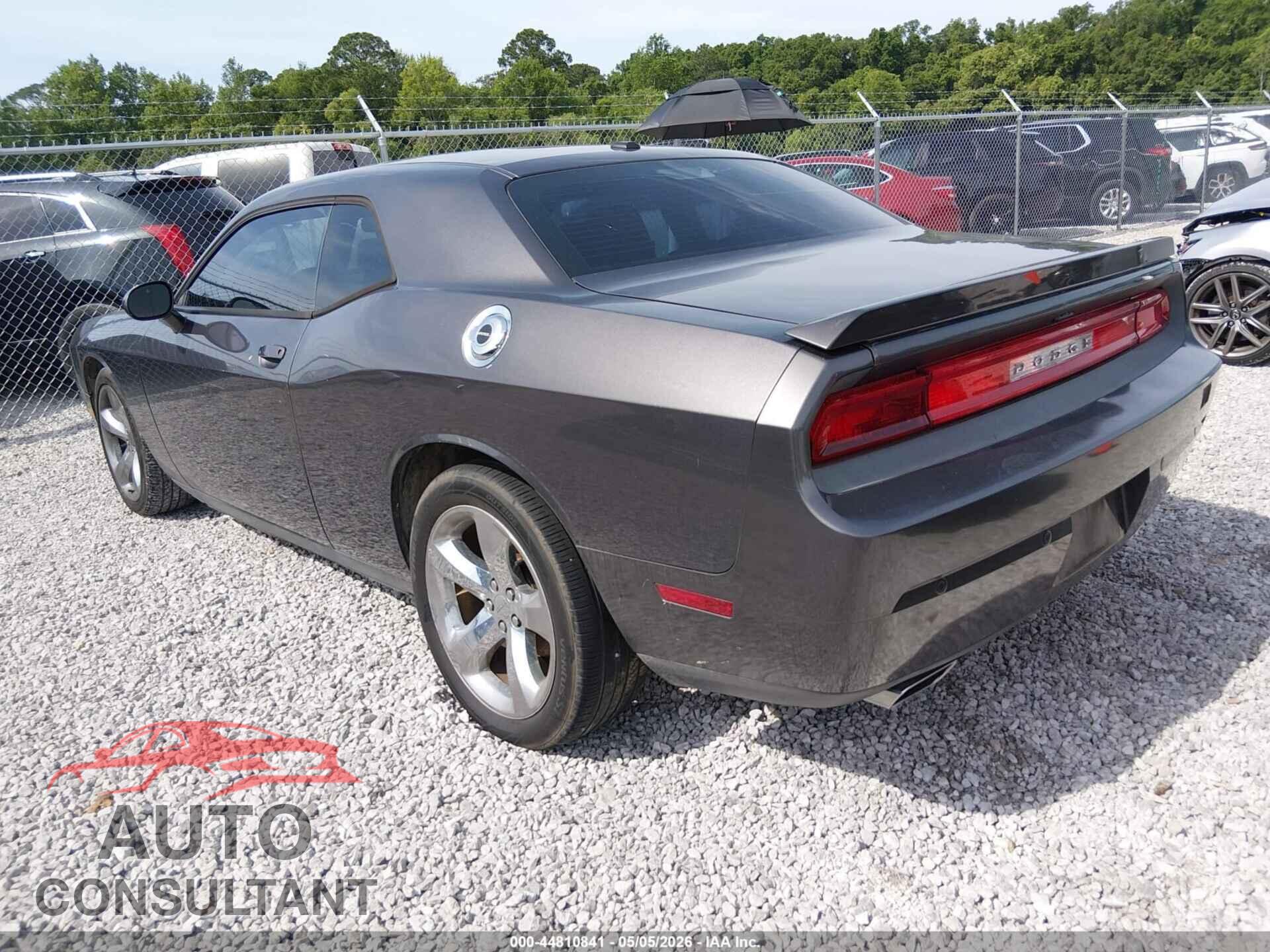 DODGE CHALLENGER 2014 - 2C3CDYAGXEH112131