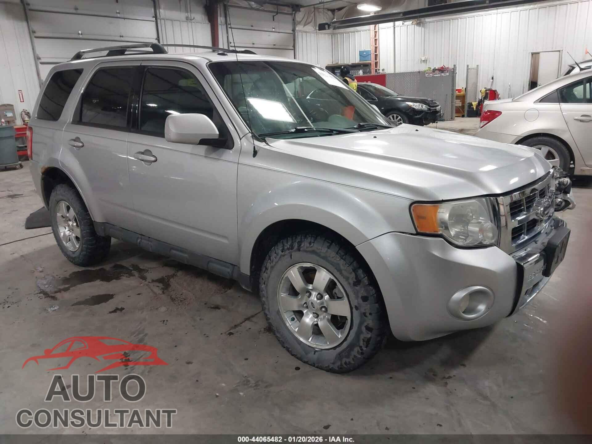 FORD ESCAPE 2011 - 1FMCU9EG1BKC49163