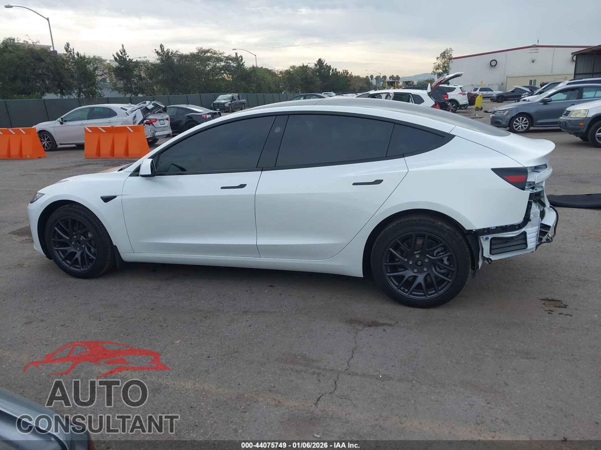 TESLA MODEL 3 2025 - 5YJ3E1EA5SF081281