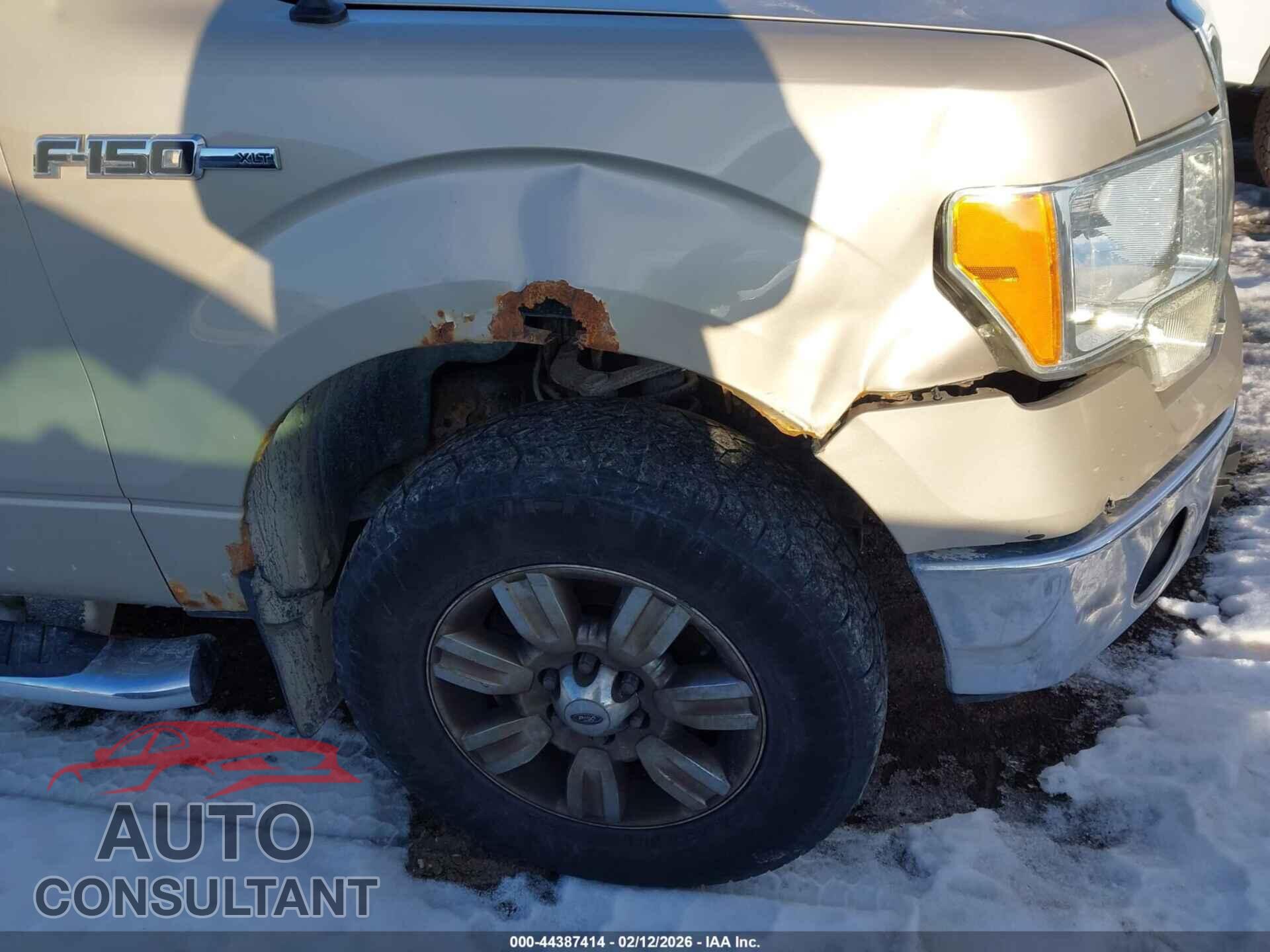 FORD F-150 2010 - 1FTFX1EVXAFC04481