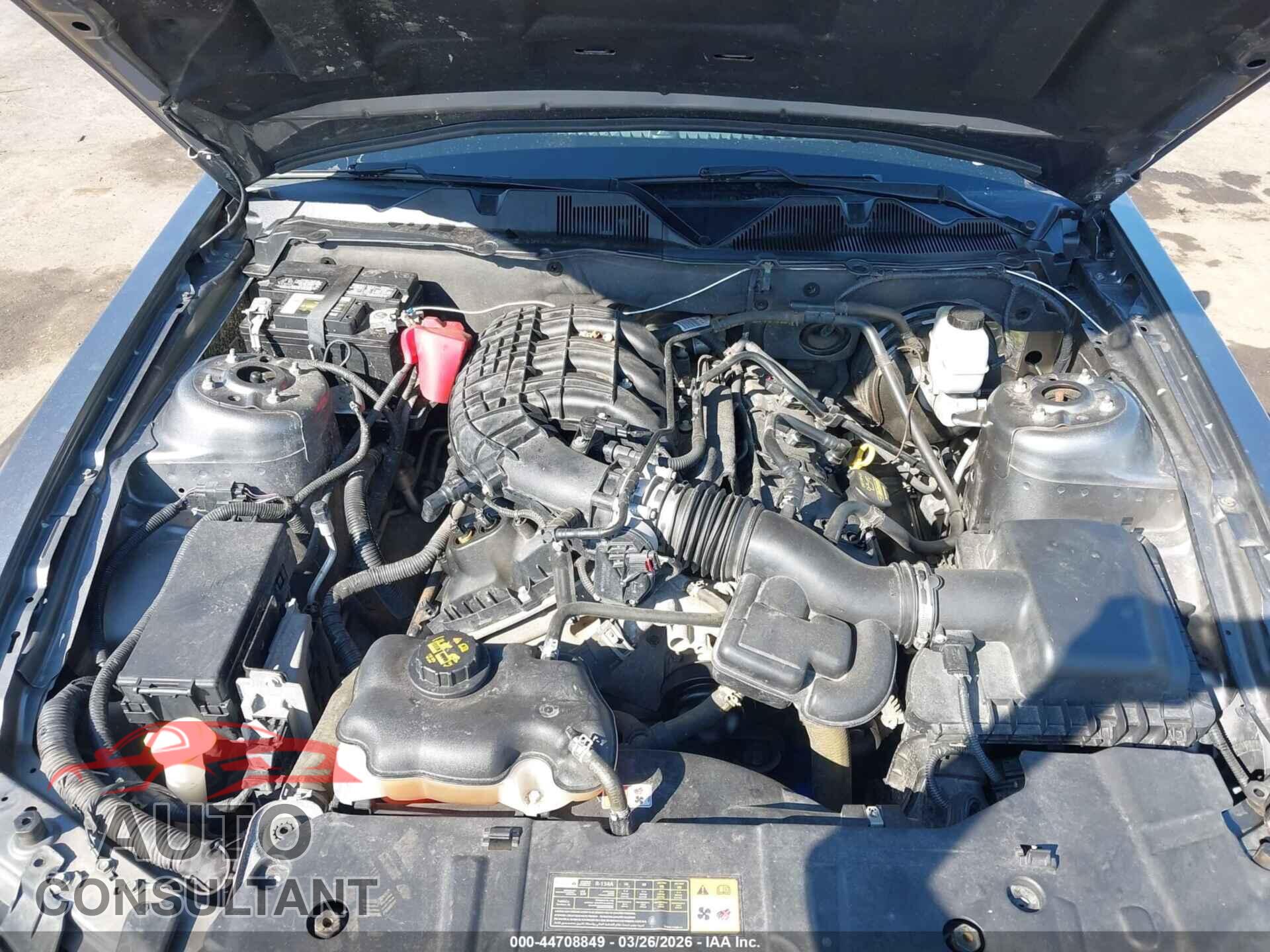 FORD MUSTANG 2013 - 1ZVBP8AM2D5241021