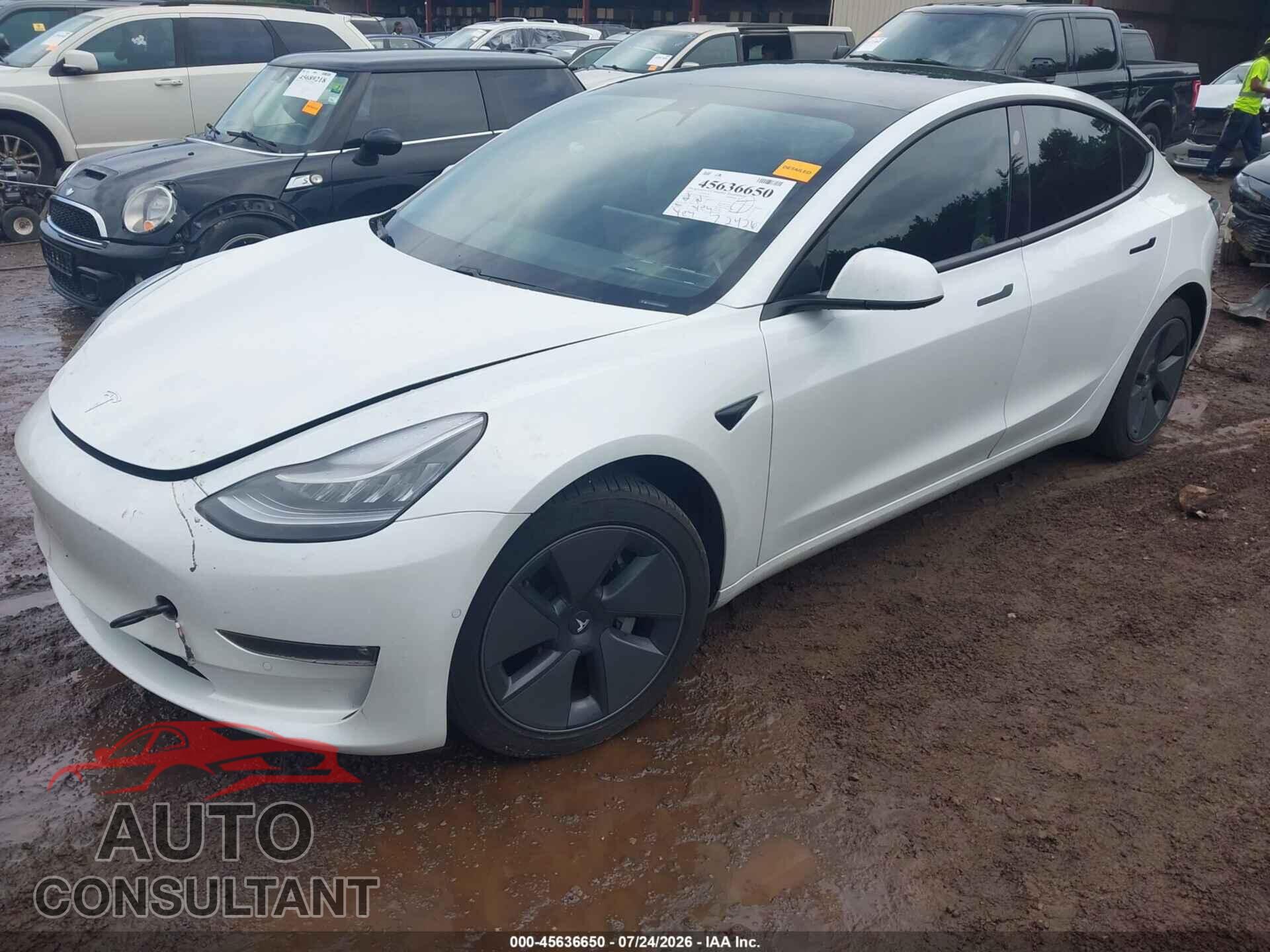 TESLA MODEL 3 2021 - 5YJ3E1EB3MF852896