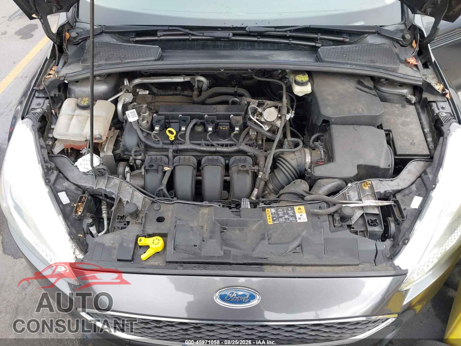 FORD FOCUS 2017 - 1FADP3K26HL206534