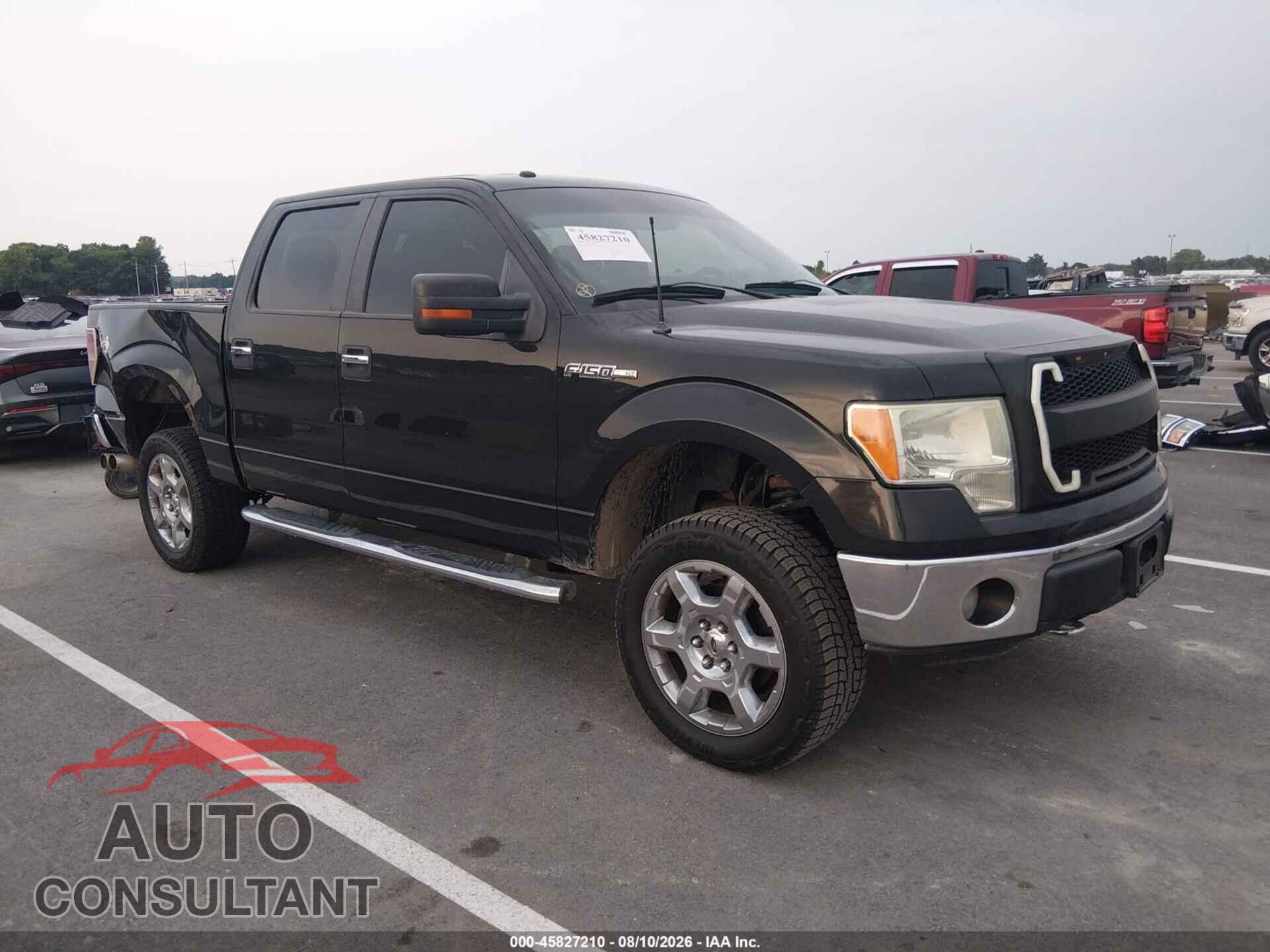 FORD F-150 2013 - 1FTFW1EF4DFD05225