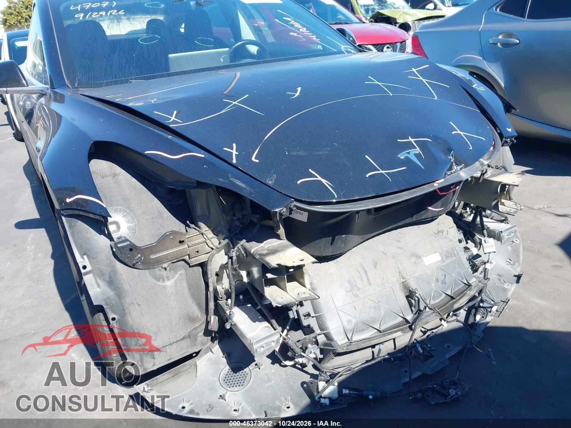 TESLA MODEL 3 2019 - 5YJ3E1EAXKF304706