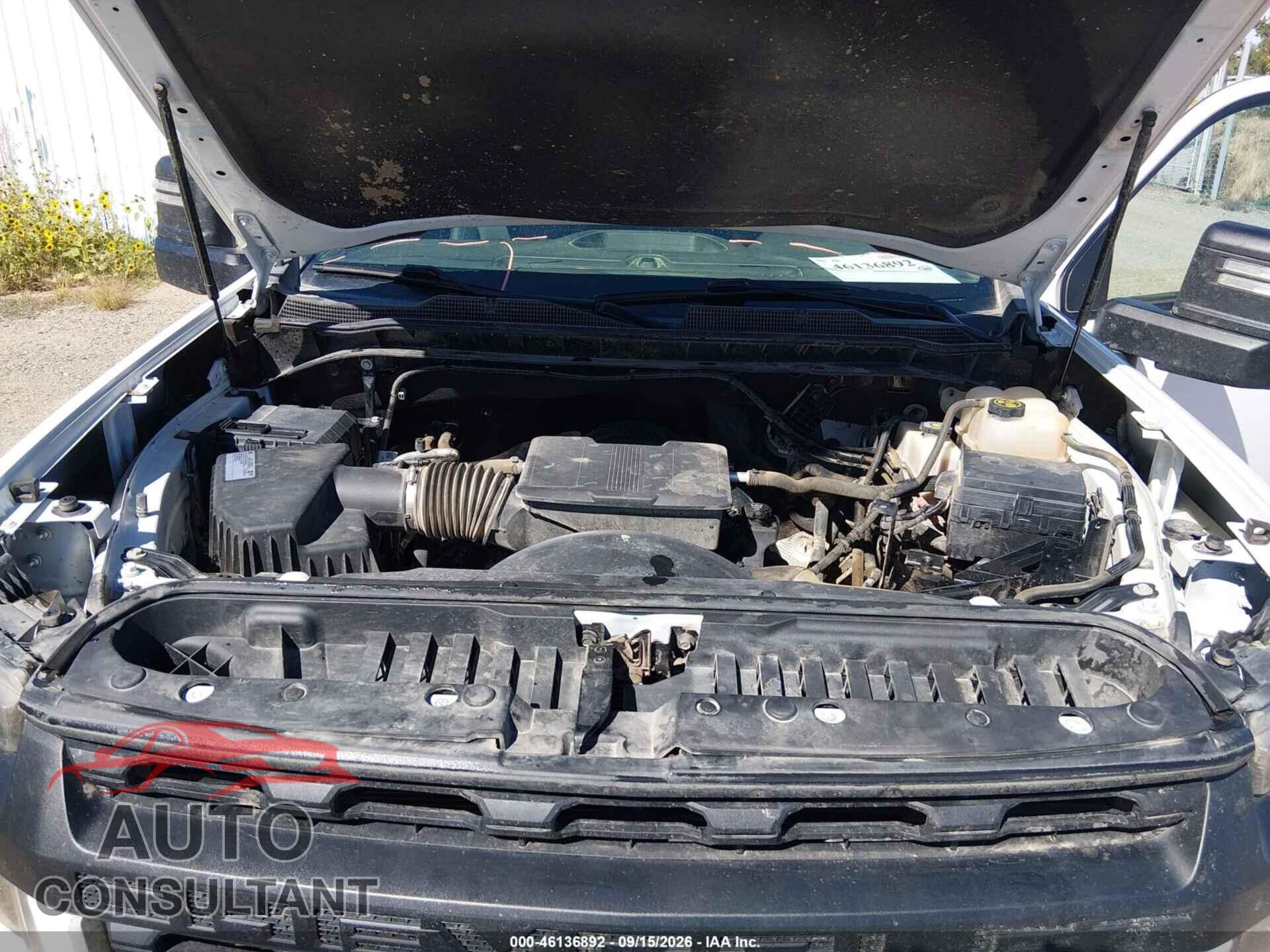 CHEVROLET SILVERADO 2500HD 2020 - 1GB2YLE76LF337593