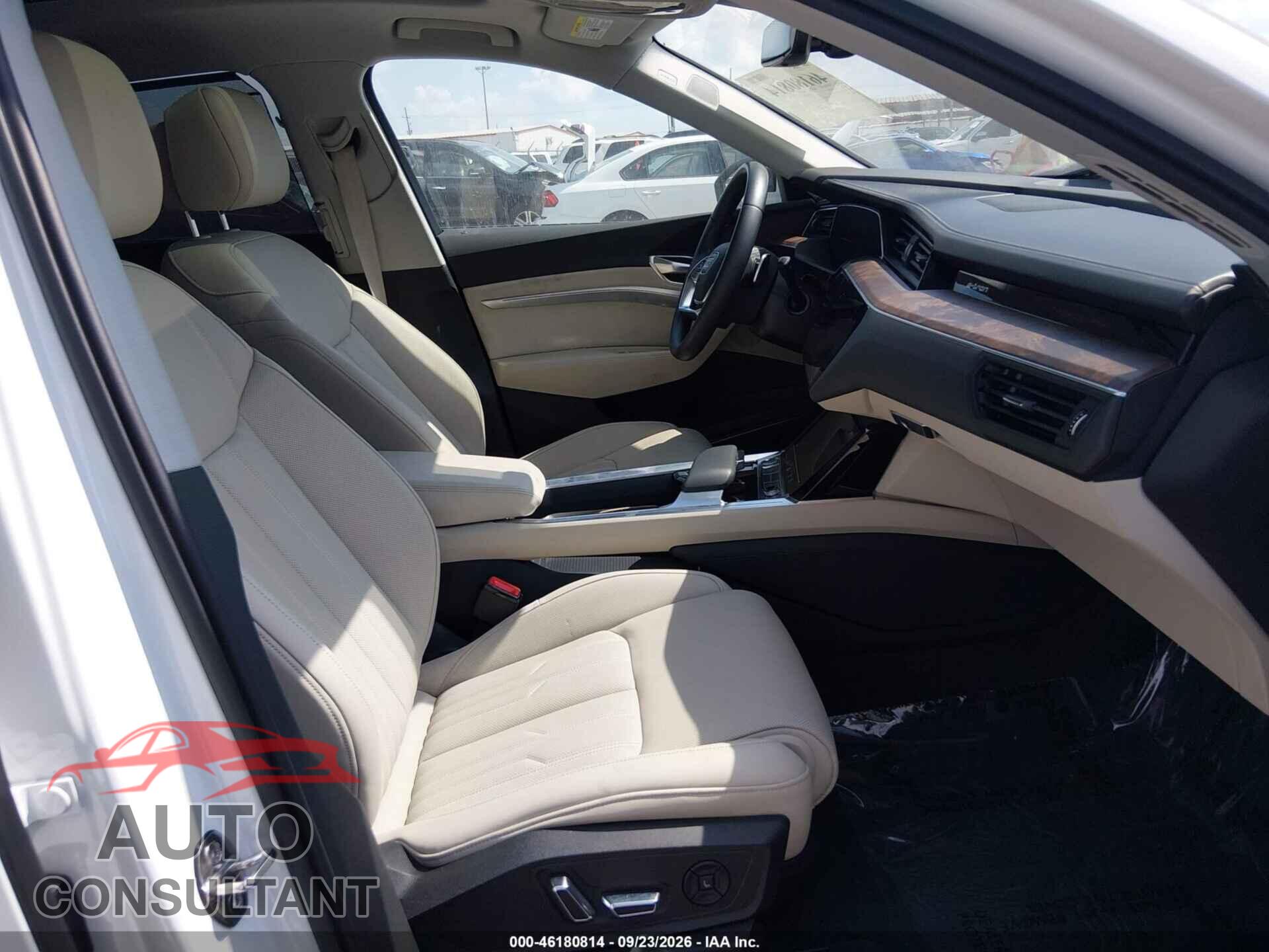 AUDI E-TRON 2019 - WA1VABGE3KB021409