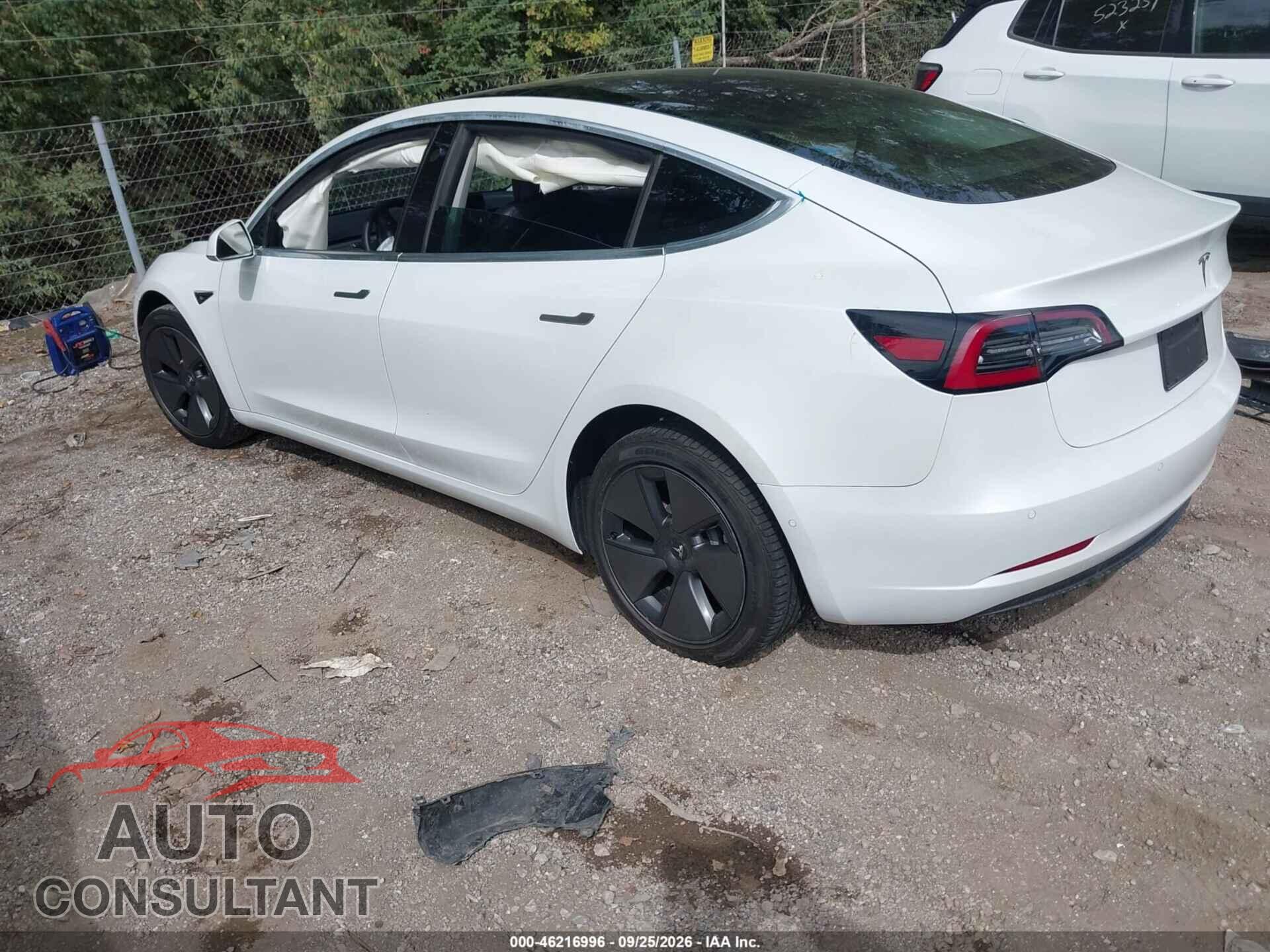 TESLA MODEL 3 2020 - 5YJ3E1EA1LF613658