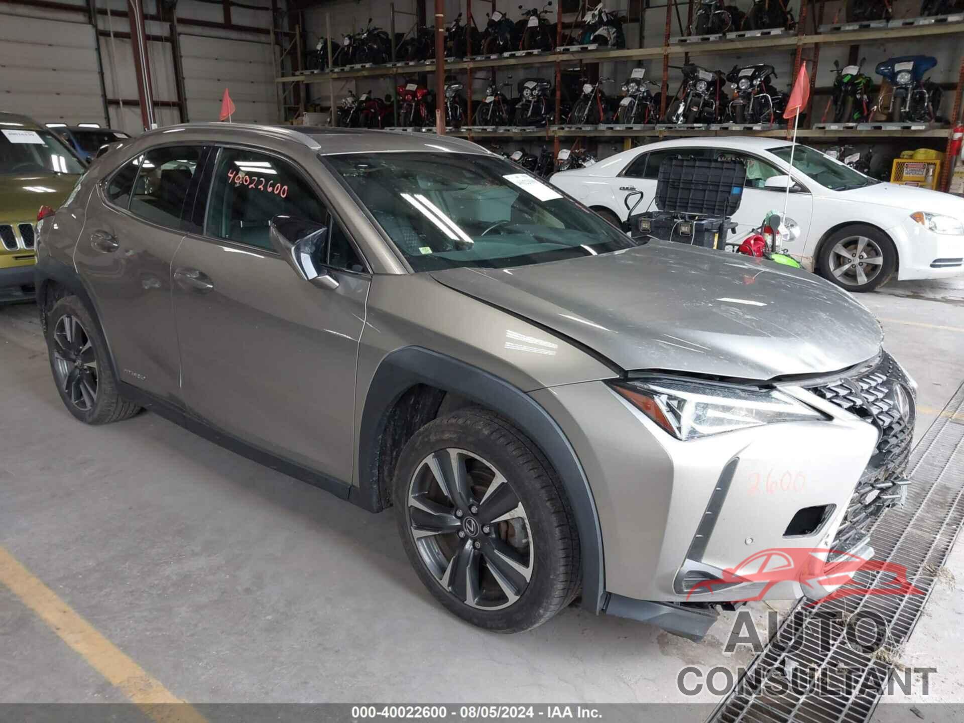 LEXUS UX 250H 2019 - JTHU9JBH4K2001674