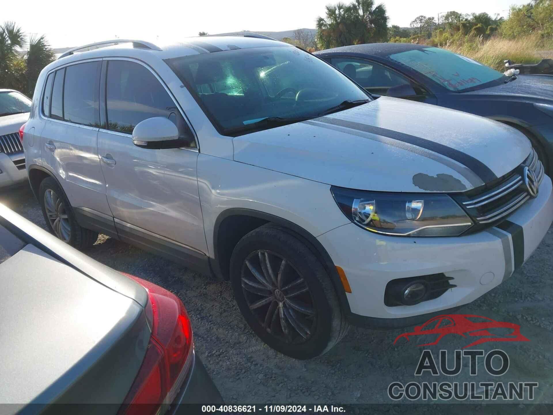 VOLKSWAGEN TIGUAN 2013 - WVGAV3AX8DW586478