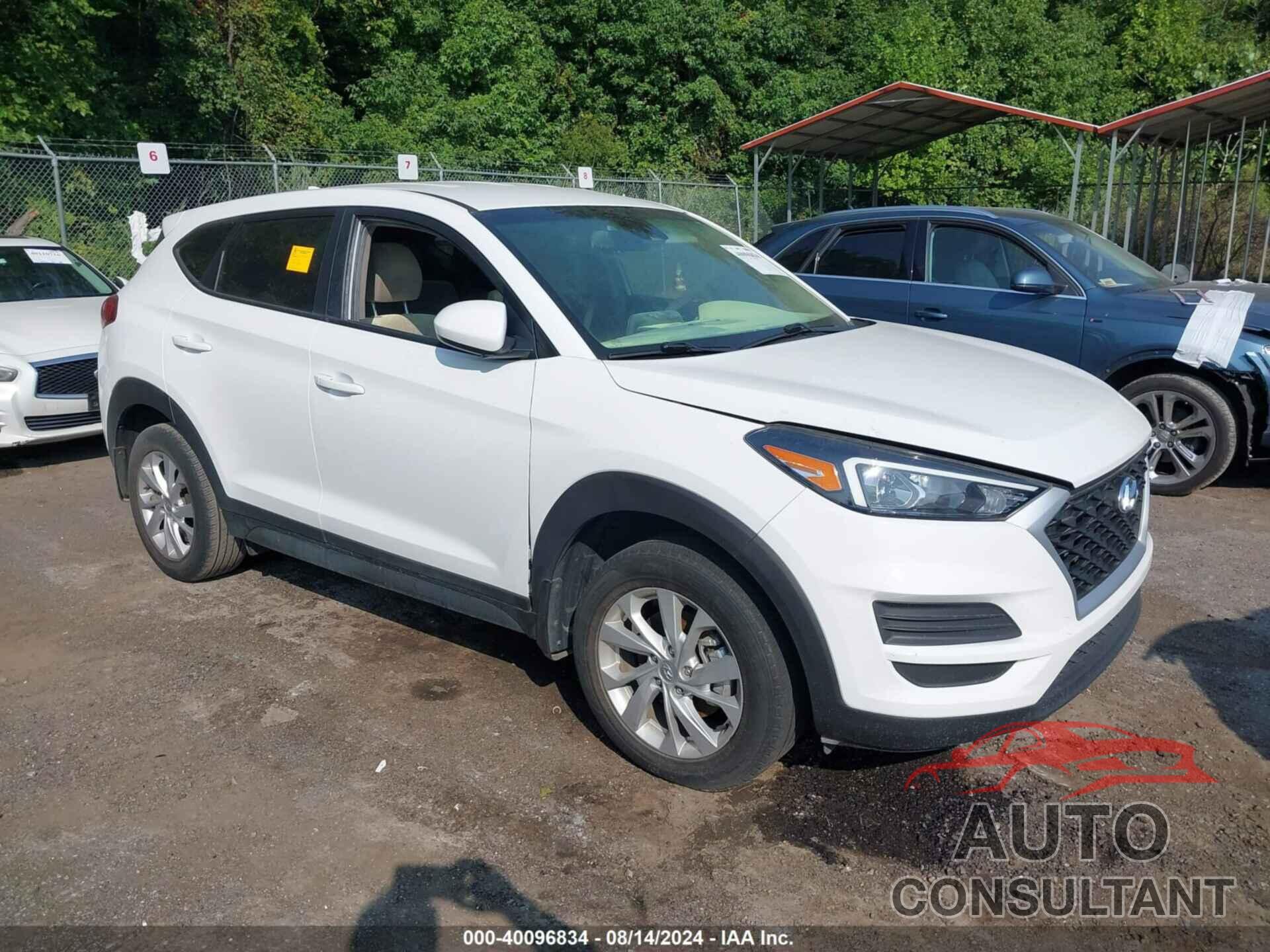 HYUNDAI TUCSON 2020 - KM8J23A49LU243042