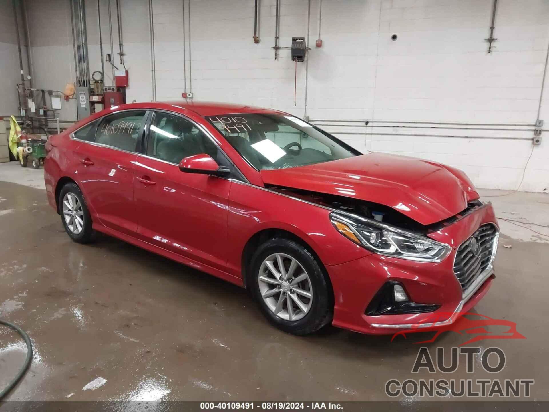 HYUNDAI SONATA 2019 - 5NPE24AF1KH817011