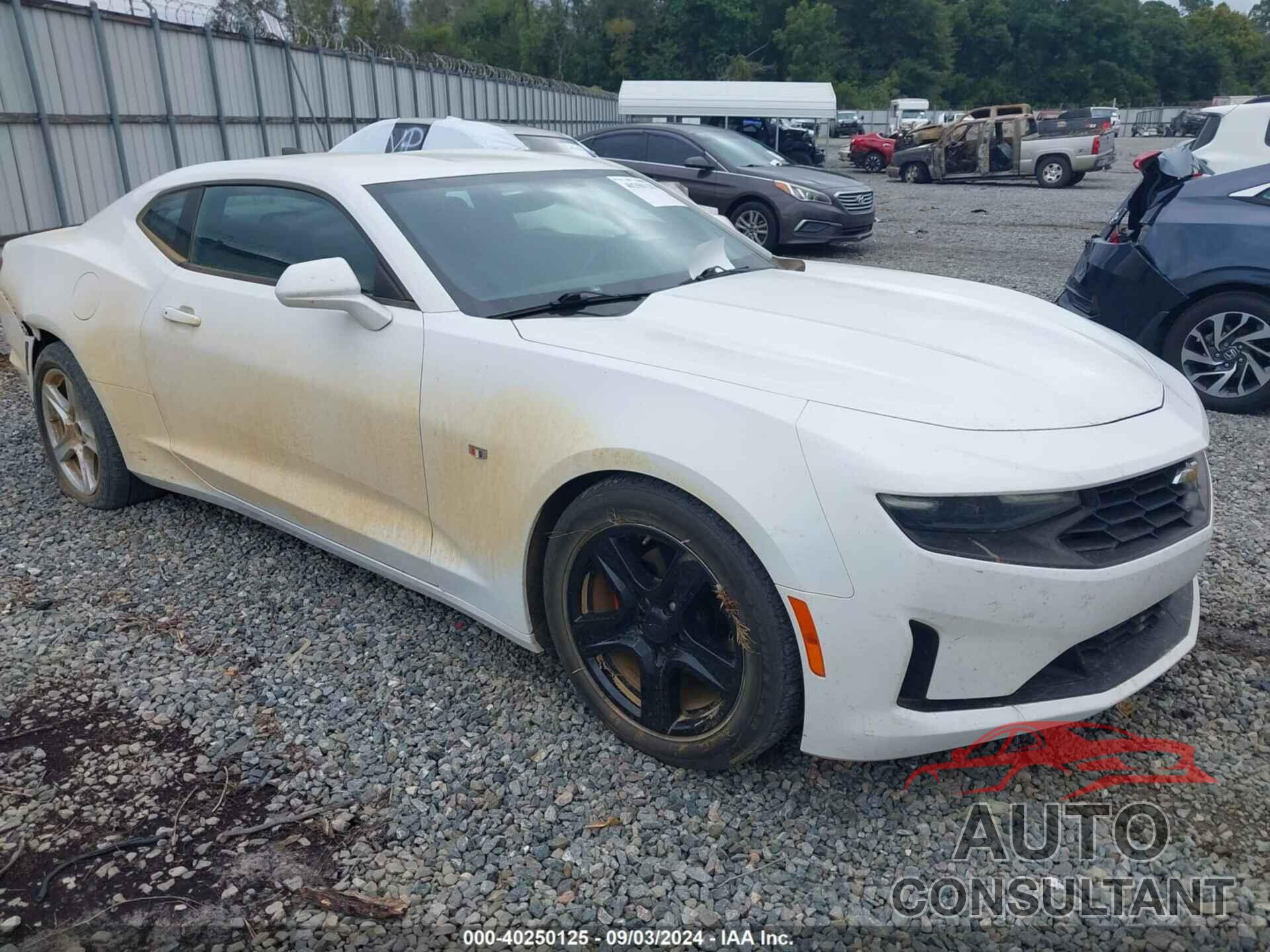 CHEVROLET CAMARO 2019 - 1G1FB1RX2K0133025