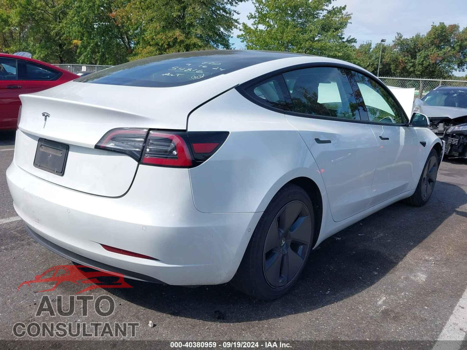 TESLA MODEL 3 2021 - 5YJ3E1EA1MF854816