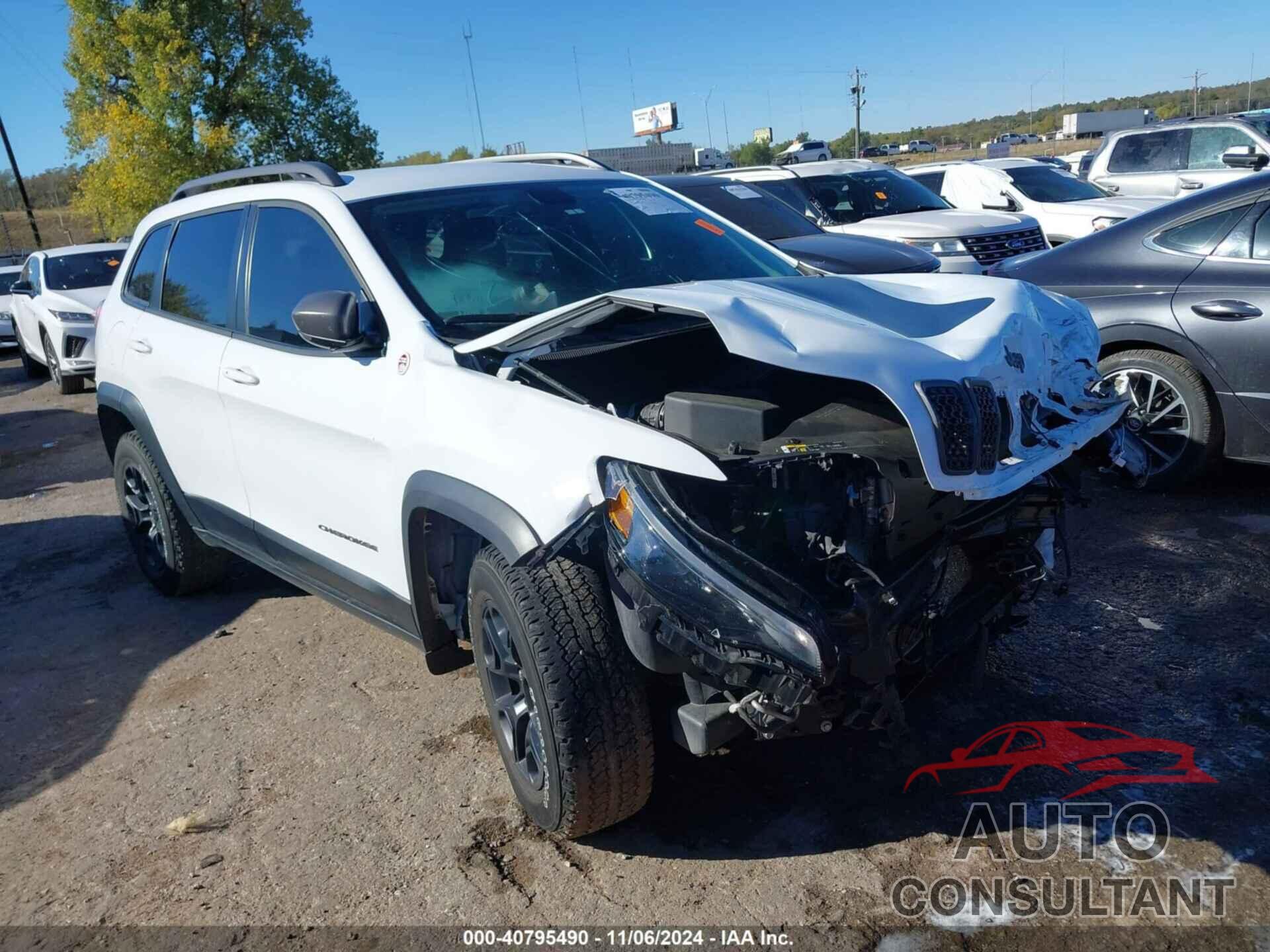 JEEP CHEROKEE 2020 - 1C4PJMBX0LD572454